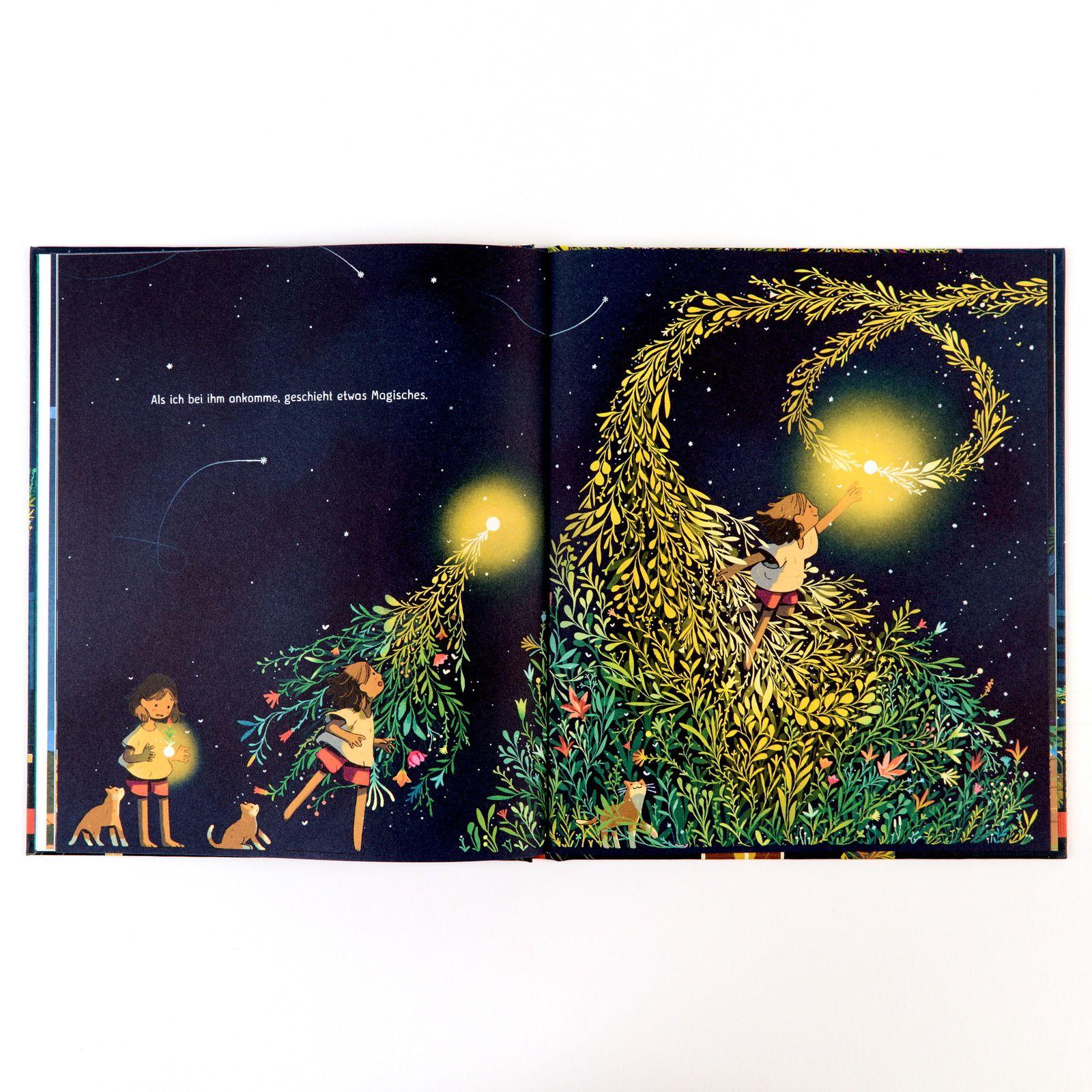 Beispielinhalt (Bild) Mein Komet