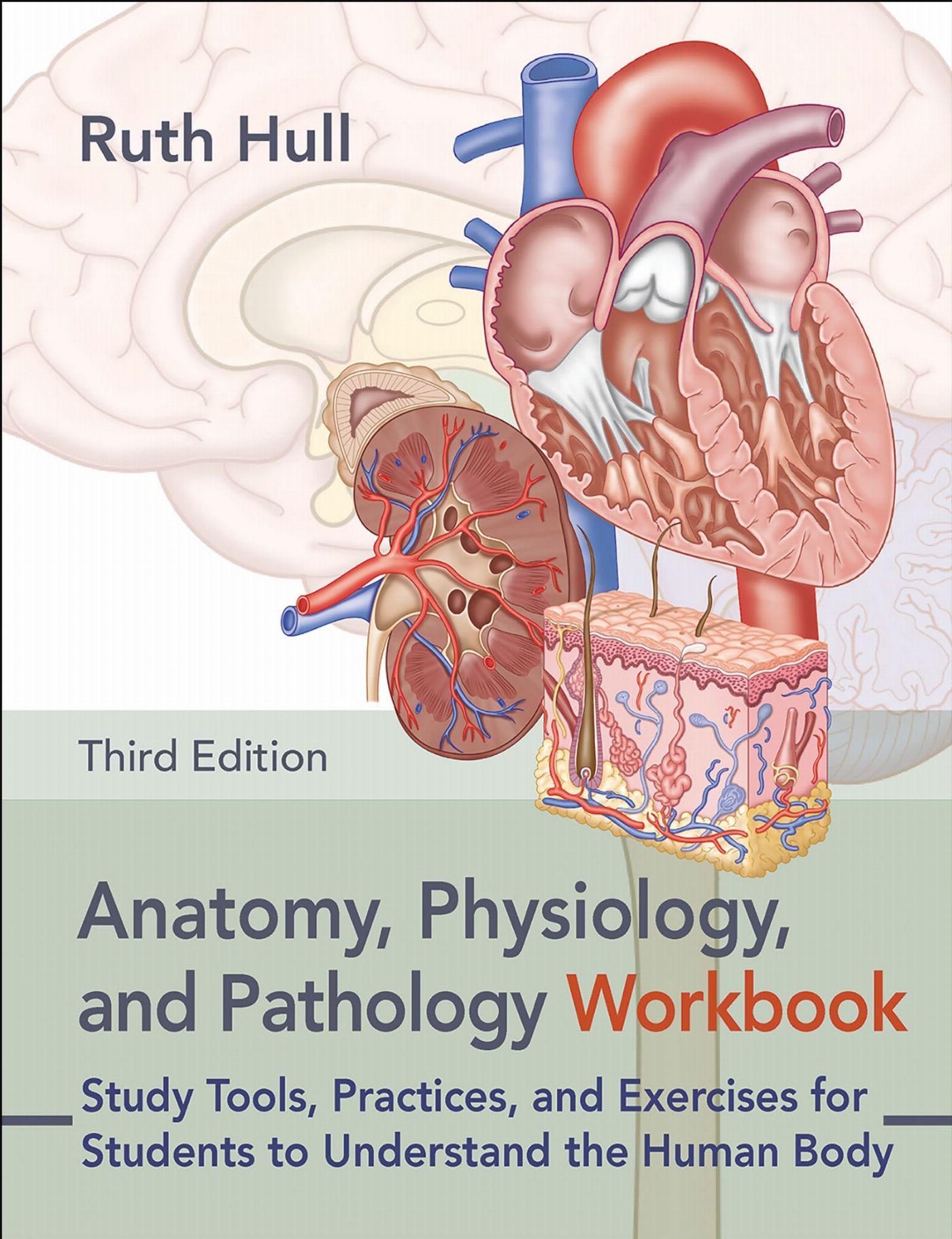 Vorderes Coverbild Anatomy, Physiology, and Pathology Workbook