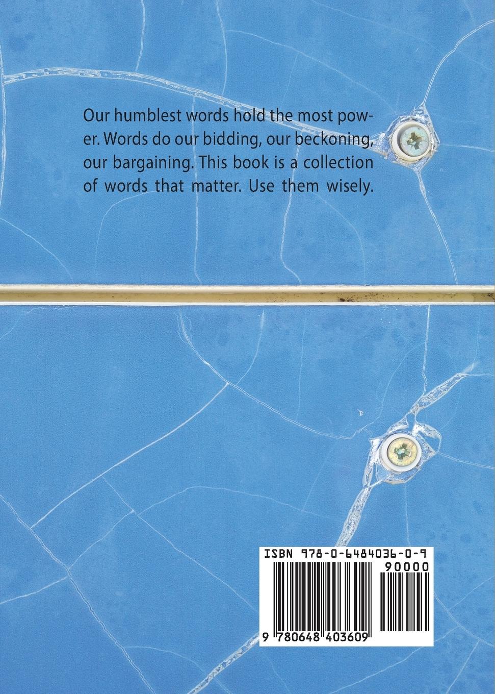 Rückseitencover I Wrote This Book For You