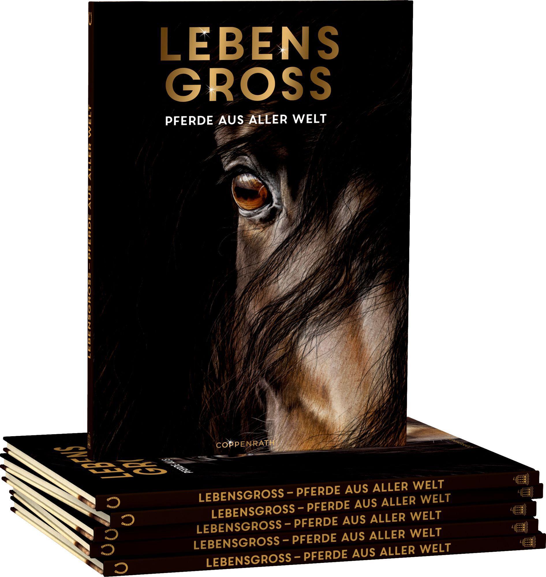 Beispielinhalt (Bild) Lebensgroß