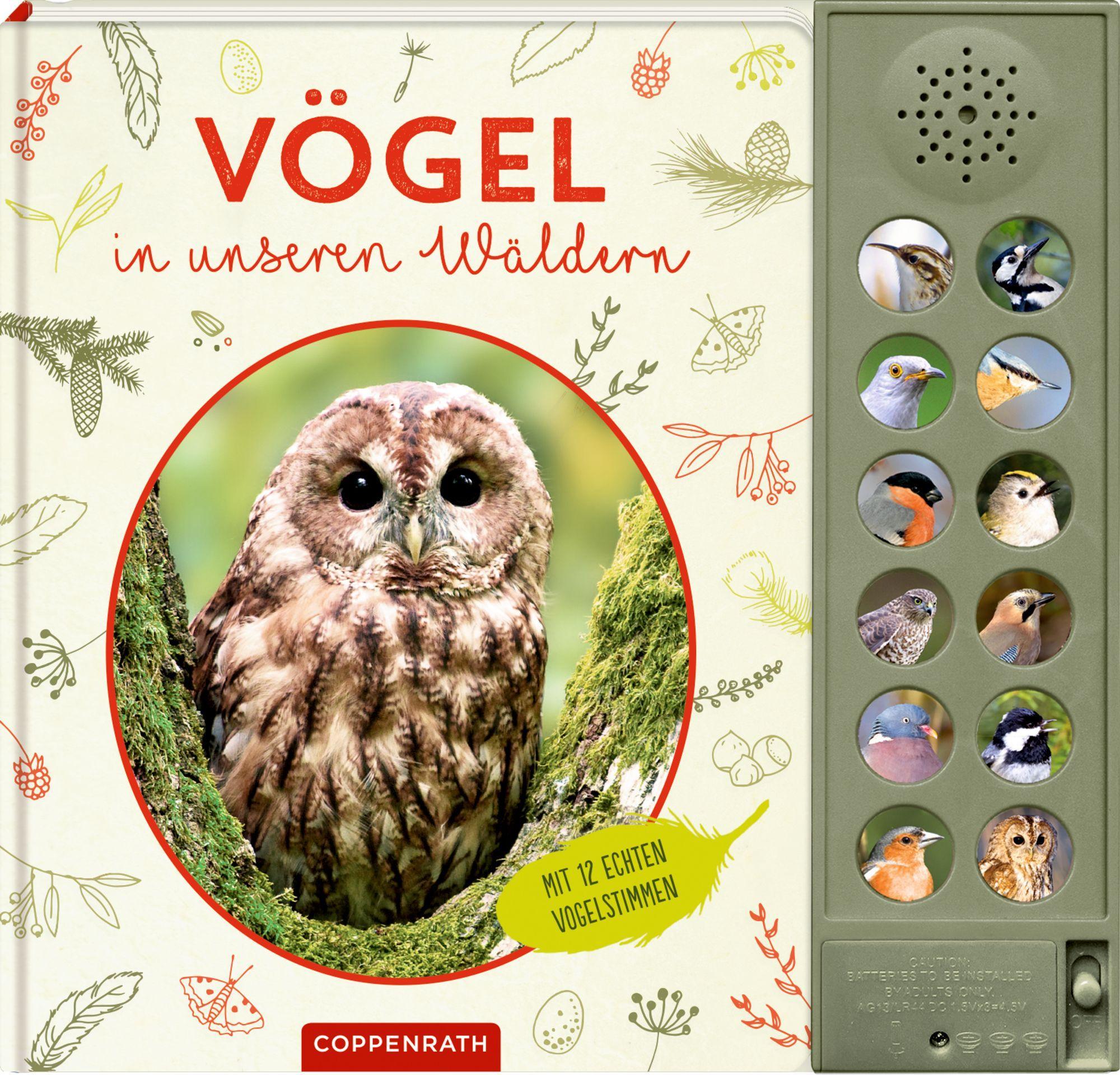 Vorderes Coverbild Vögel in unseren Wäldern