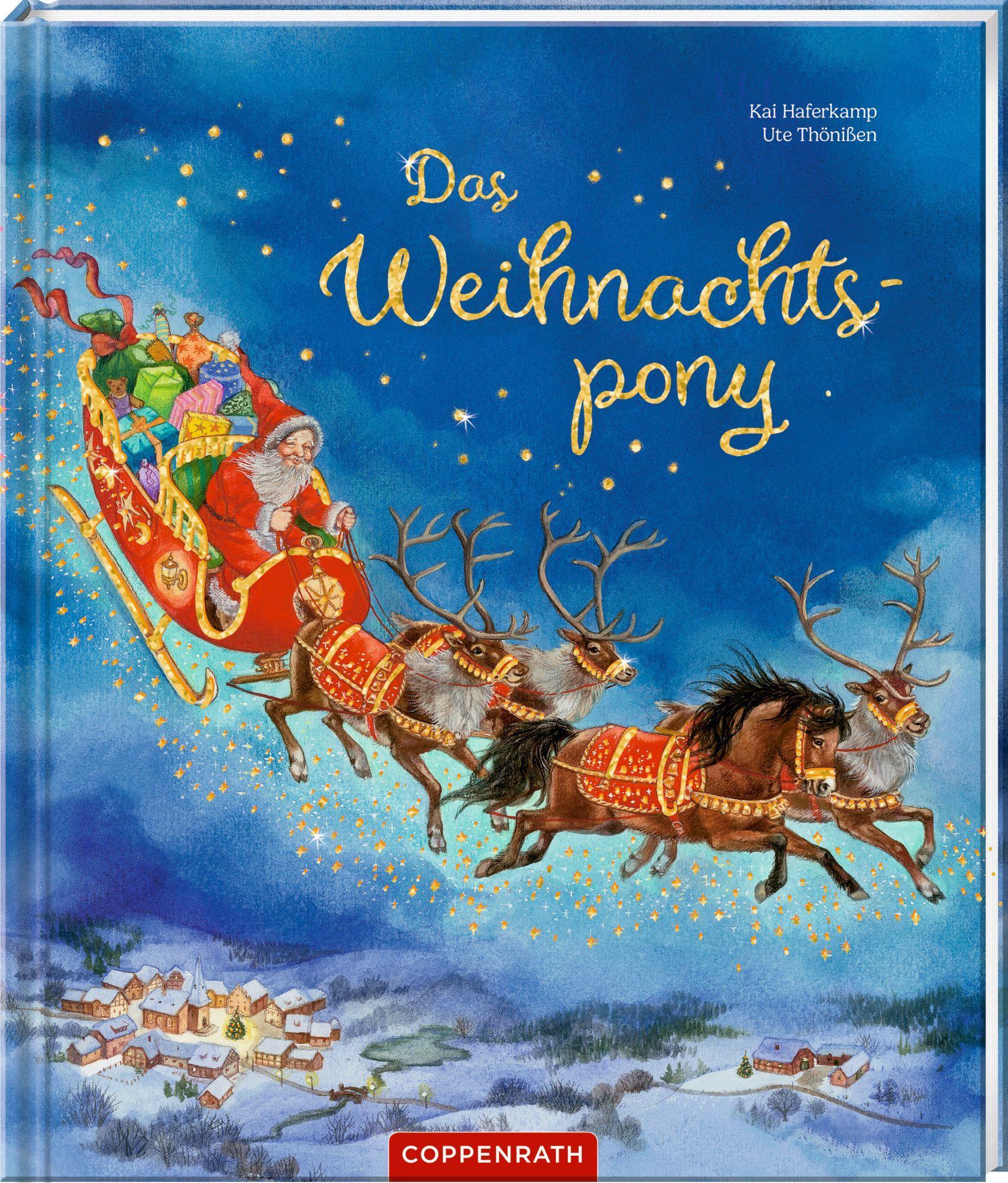 Vorderes Coverbild Das Weihnachtspony