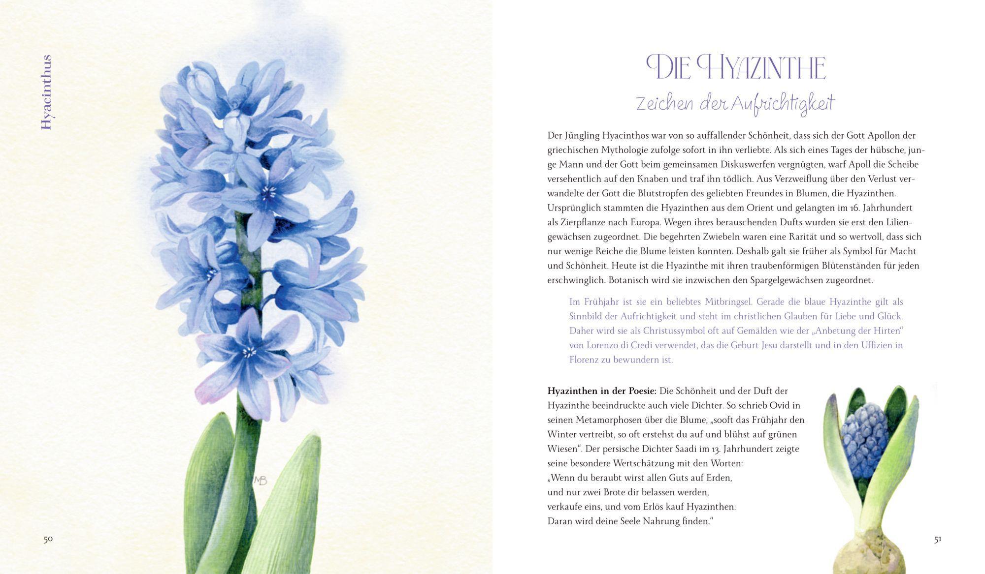 Beispielinhalt (Bild) Vom Zauber der Blumen