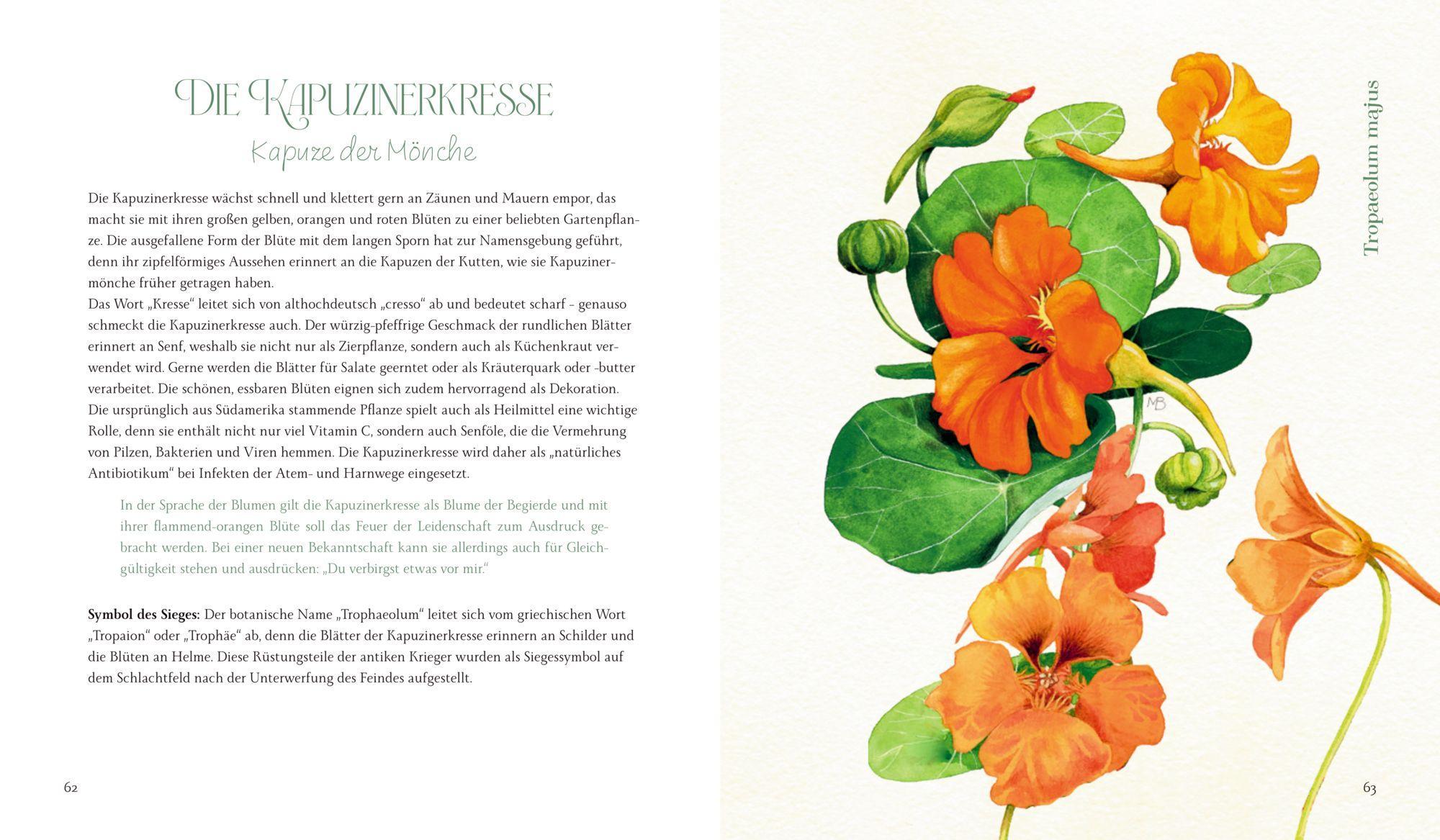 Beispielinhalt (Bild) Vom Zauber der Blumen