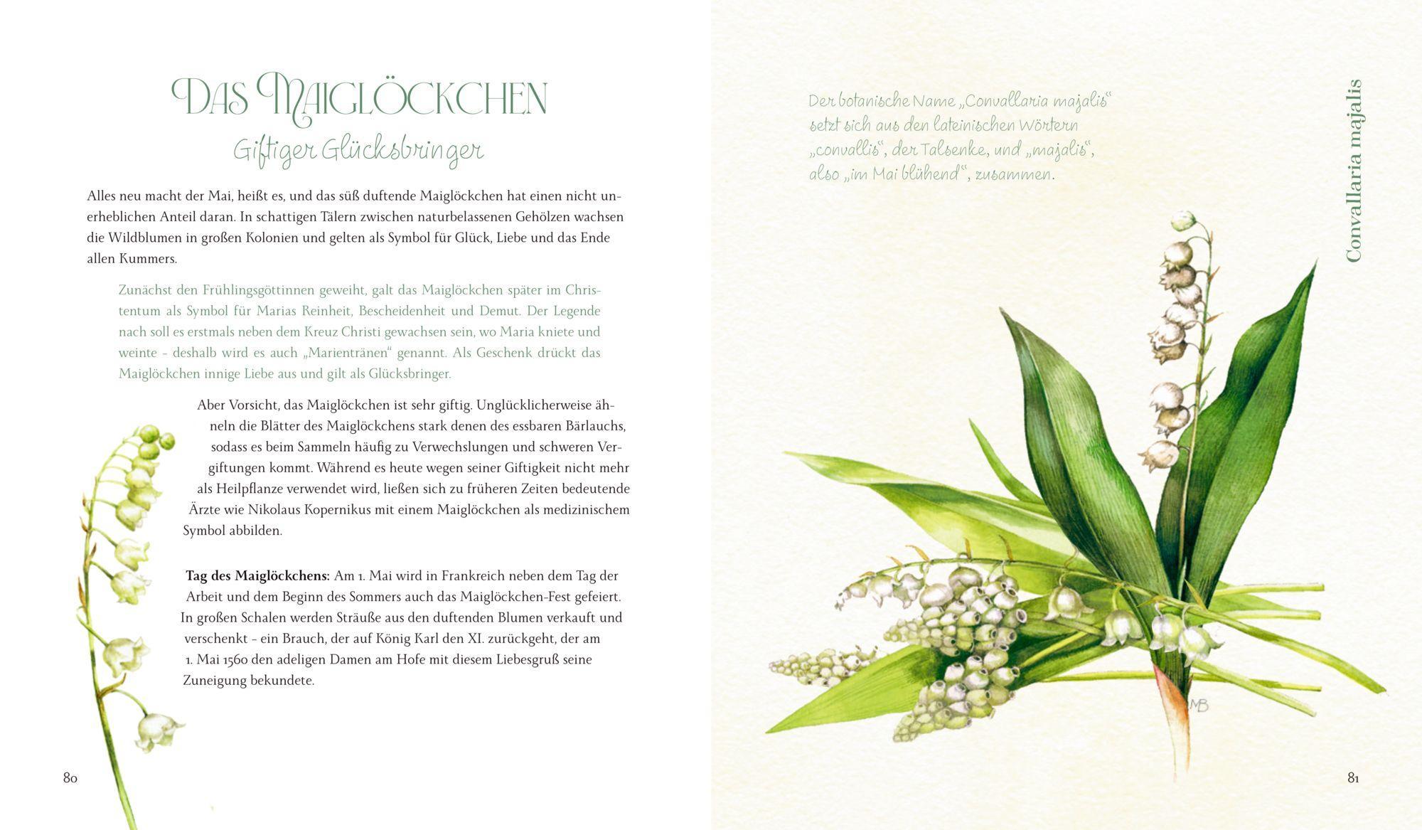 Beispielinhalt (Bild) Vom Zauber der Blumen