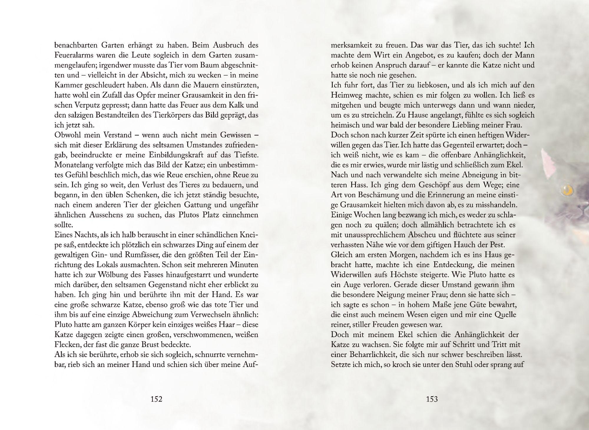 Beispielinhalt (Bild) Der Untergang des Hauses Usher