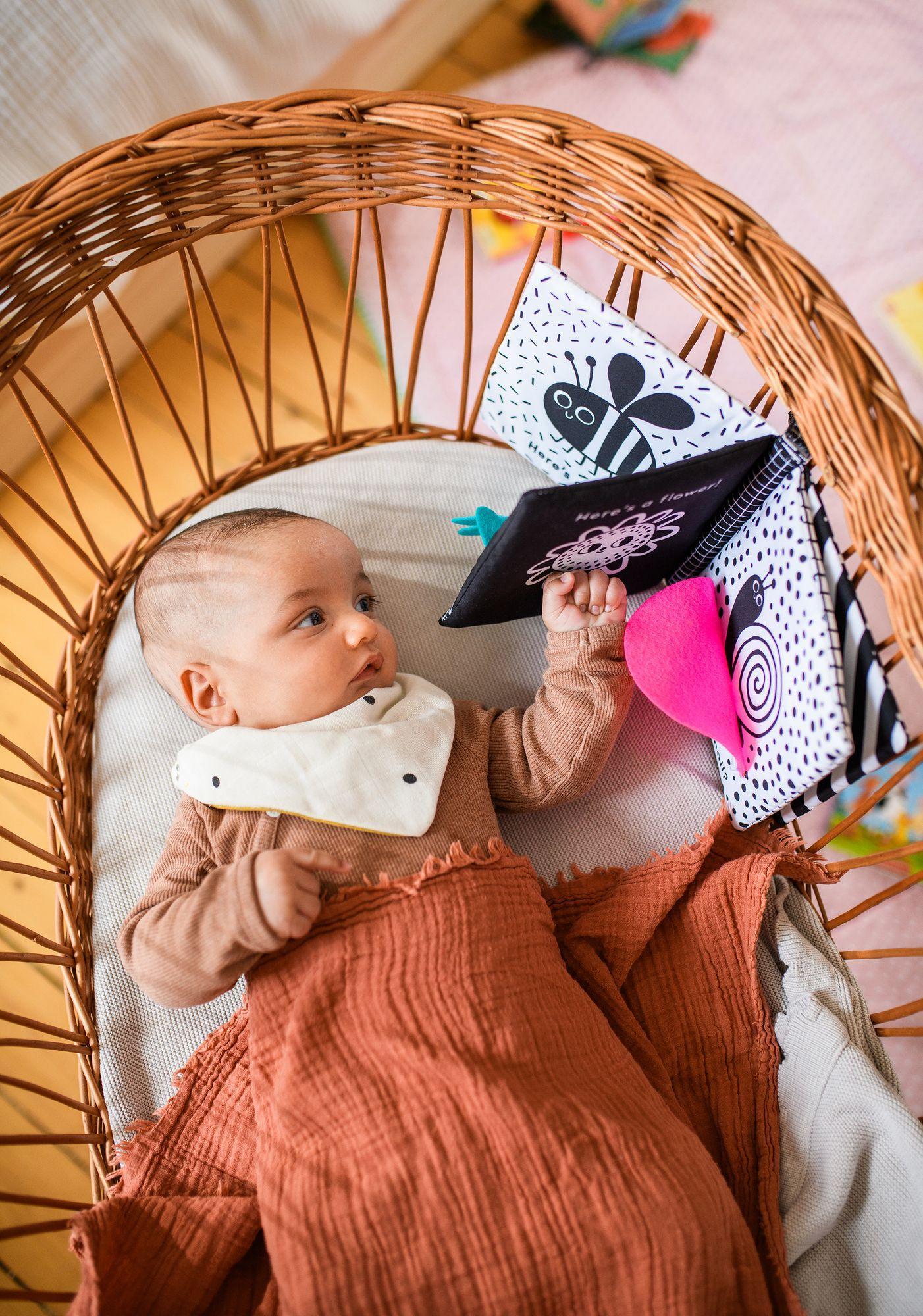 Beispielinhalt (Bild) Babys kuschelweiches Kontrastbuch (Stoffbuch)