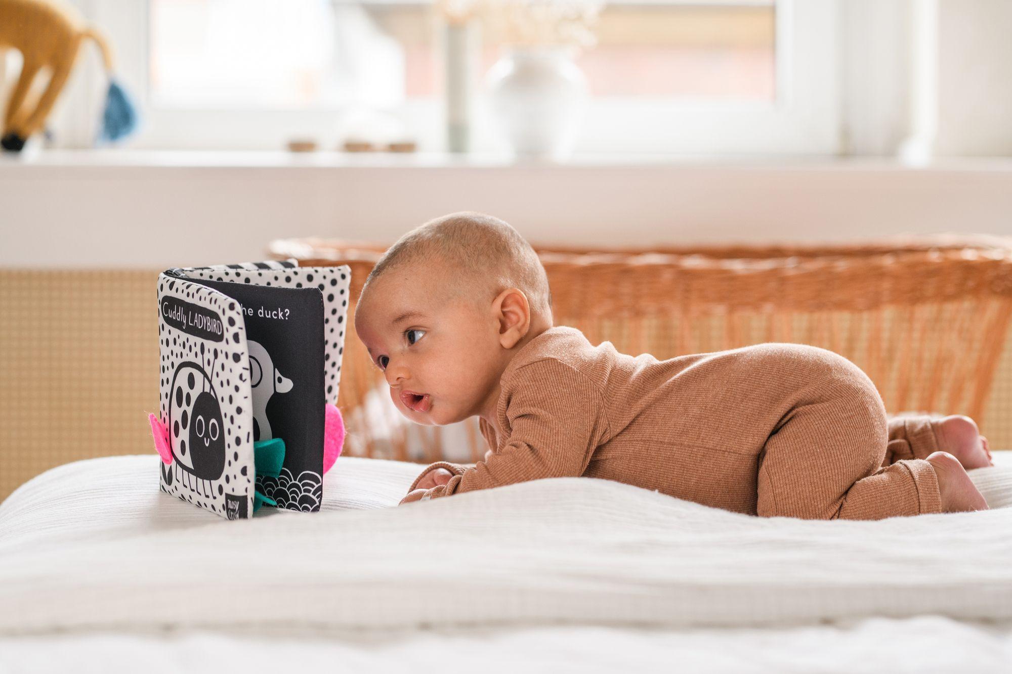 Beispielinhalt (Bild) Babys kuschelweiches Kontrastbuch (Stoffbuch)
