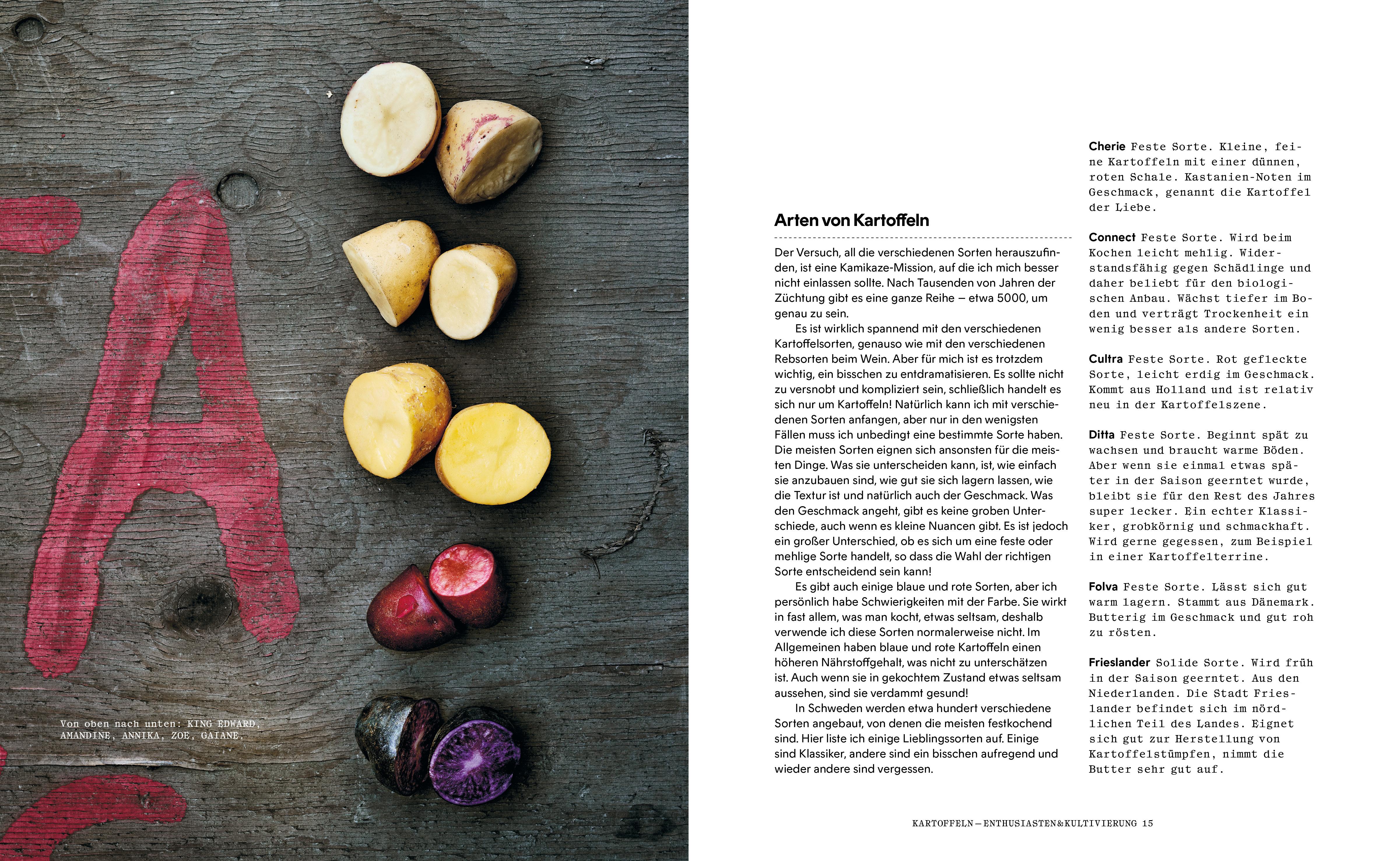 Beispielinhalt (Bild) Kartoffelküche