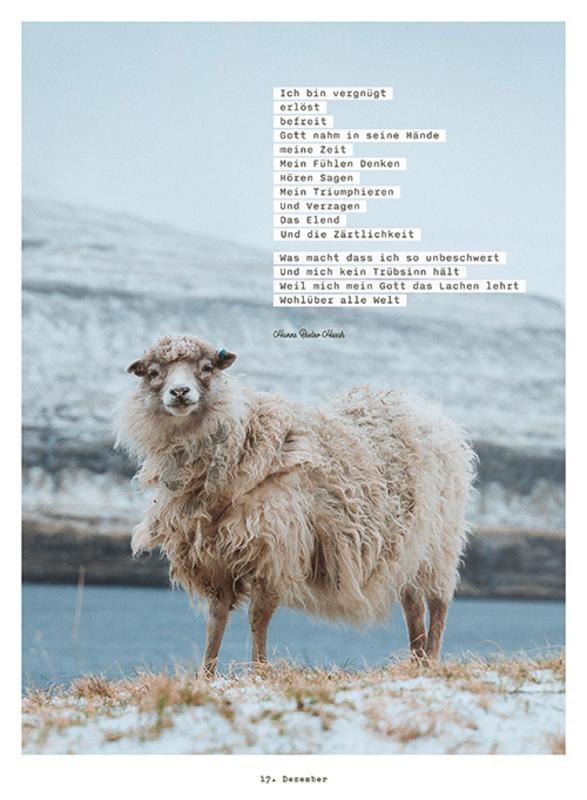 Beispielinhalt (Bild) Leuchttage - Dein Begleiter durch den Advent