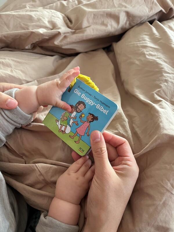 Beispielinhalt (Bild) Die Buggy-Bibel