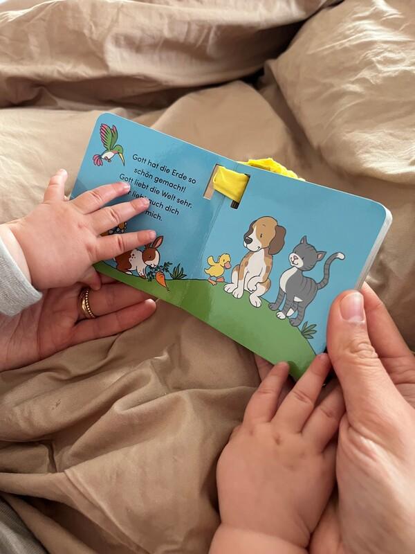 Beispielinhalt (Bild) Die Buggy-Bibel