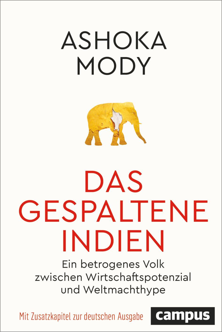 Vorderes Coverbild Das gespaltene Indien