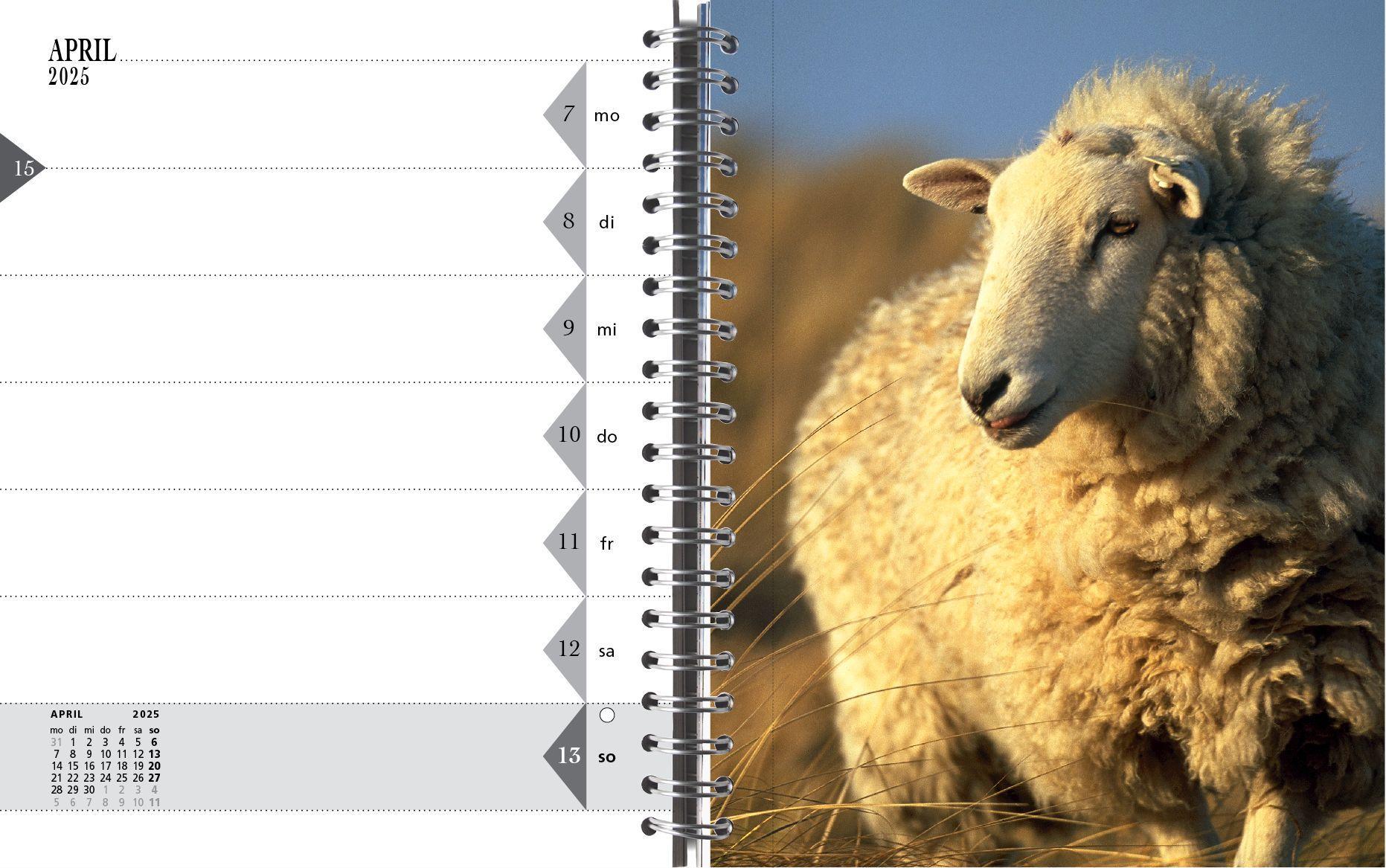 Beispielinhalt (Bild) Sylt-die Insel Tischkalender