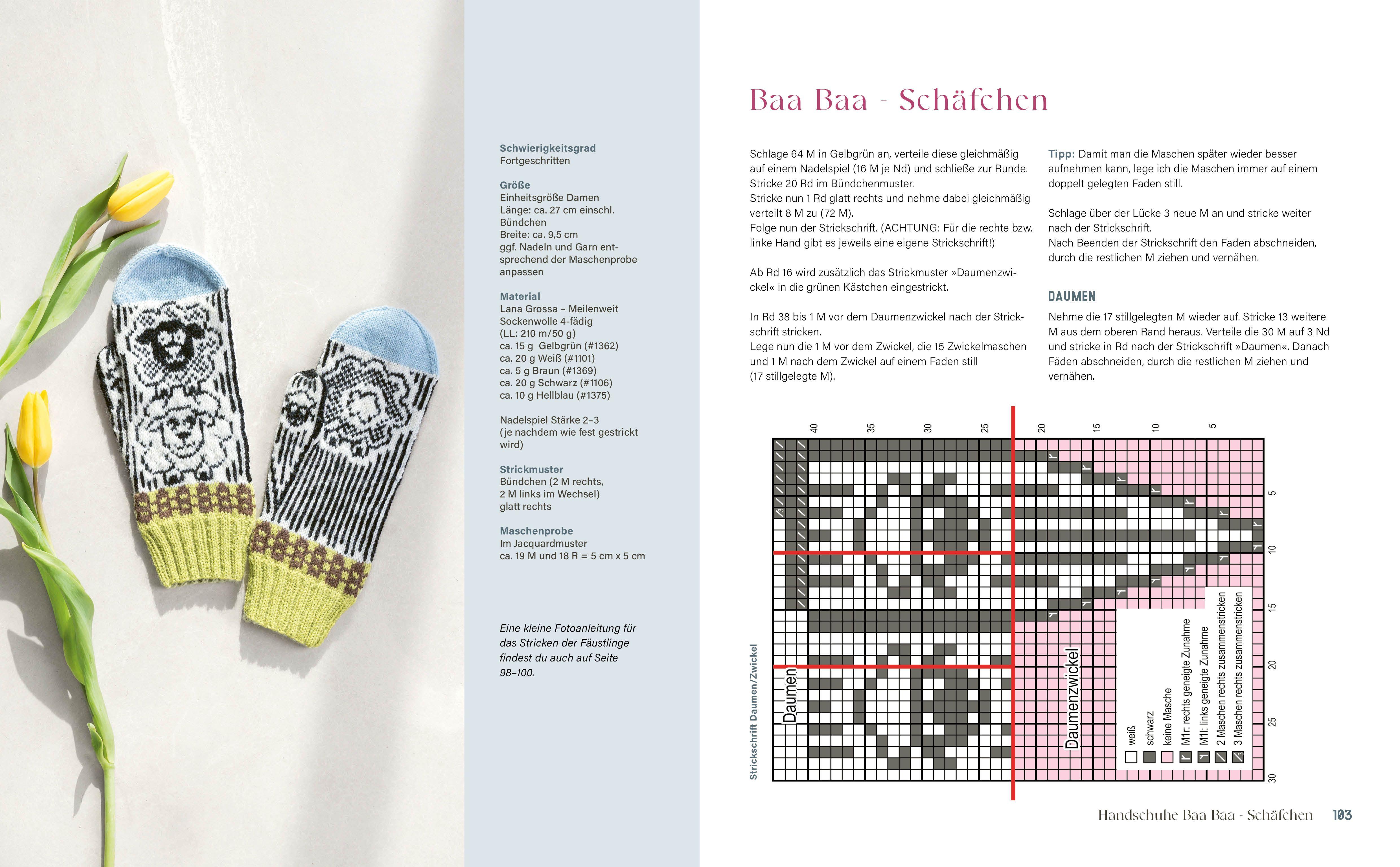 Beispielinhalt (Bild) Bunte Socken und witzige Handschuhe stricken