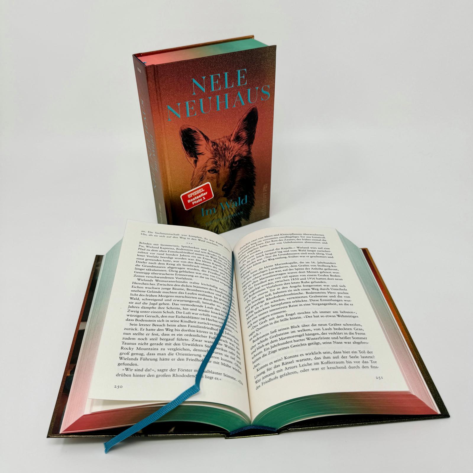 Beispielinhalt (Bild) Im Wald