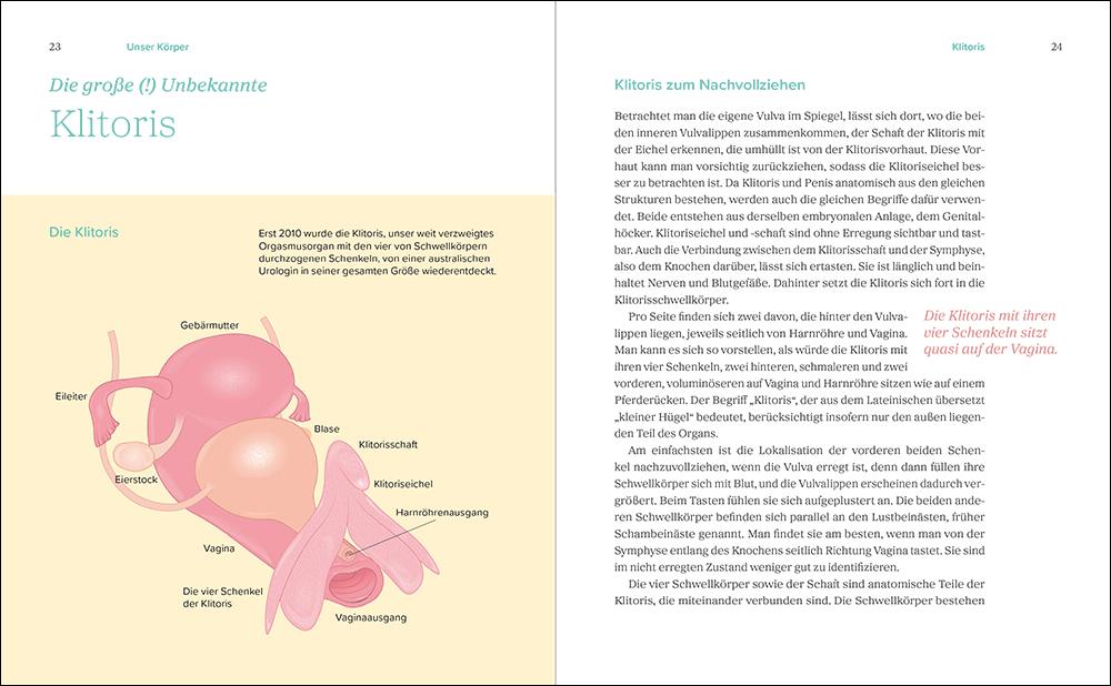 Beispielinhalt (Bild) Das große Gynbuch