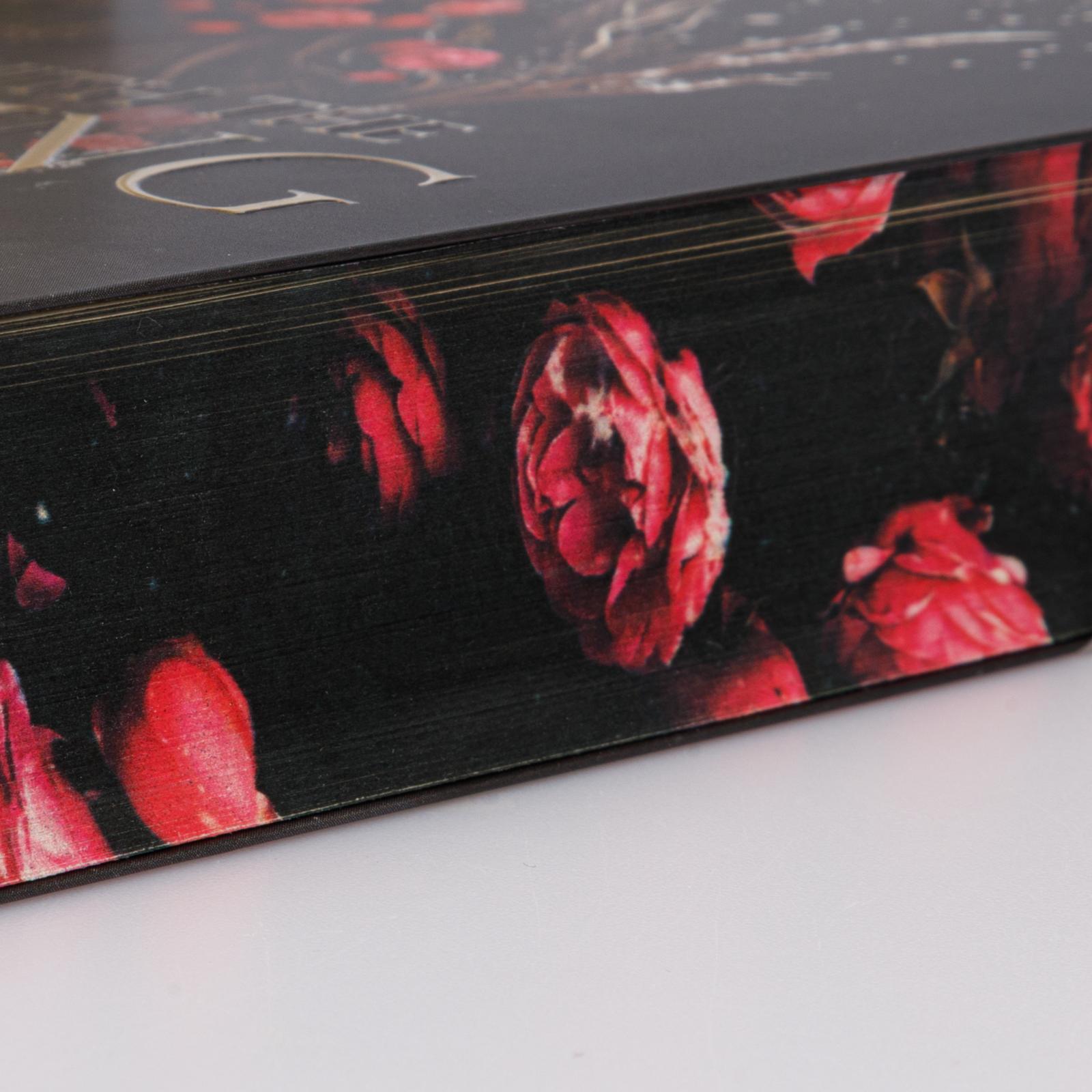 Beispielinhalt (Bild) Married into Magic: Deal with the Elf King