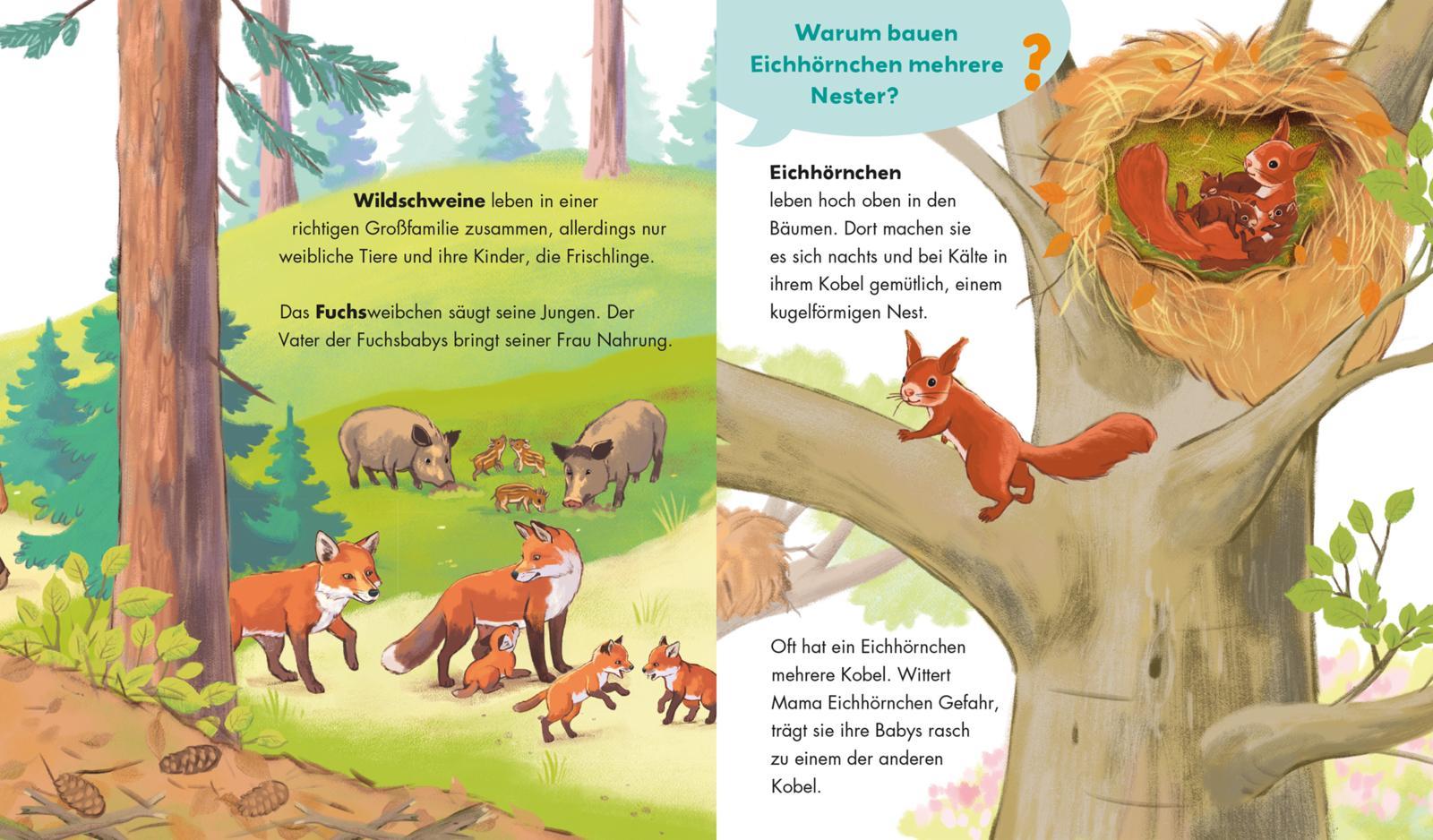 Beispielinhalt (Bild) Unkaputtbar: Frag doch mal die Maus: Tiere und ihre Familien