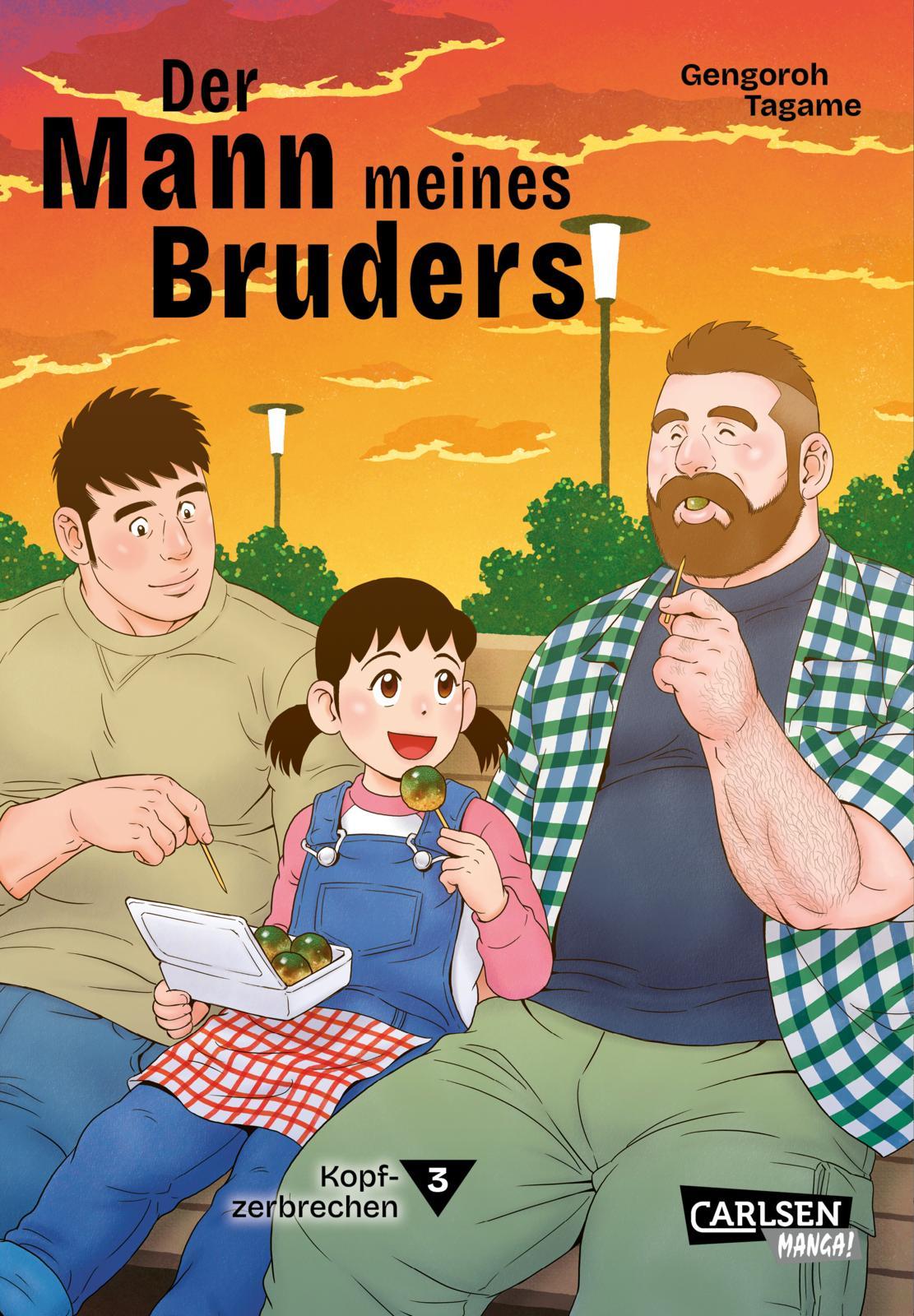 Vorderes Coverbild Der Mann meines Bruders 3