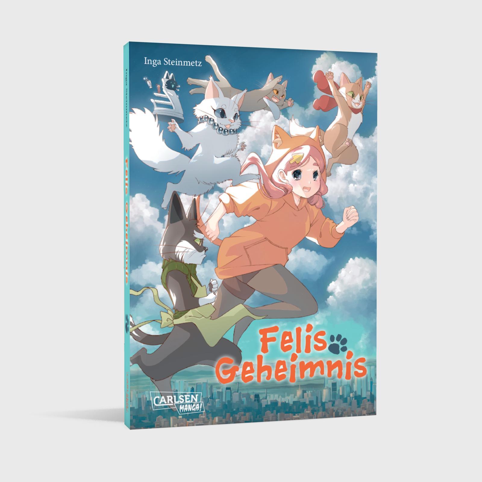 Beispielinhalt (Bild) Felis Geheimnis