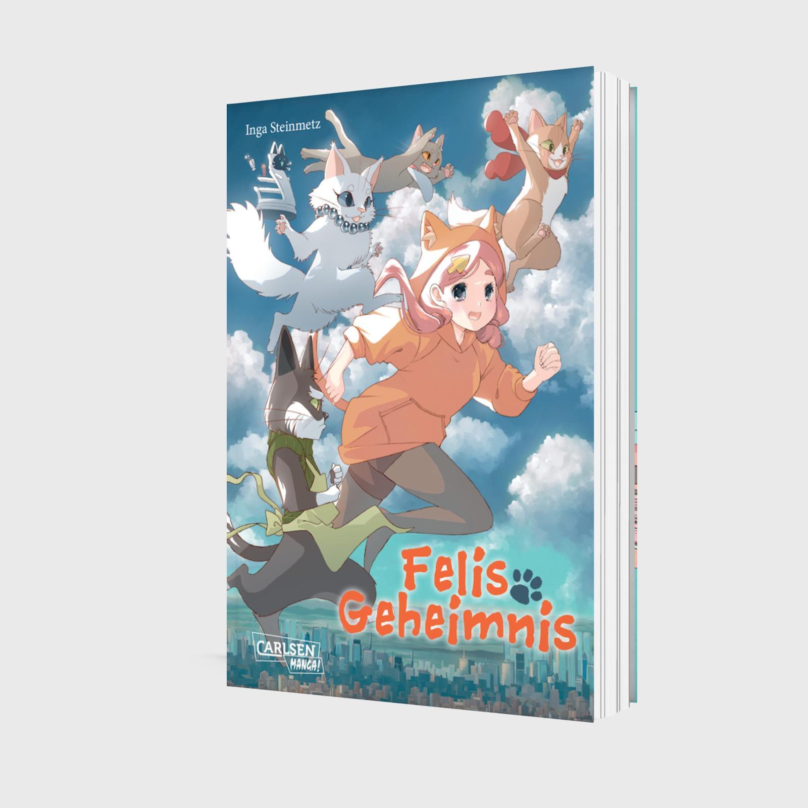 Beispielinhalt (Bild) Felis Geheimnis