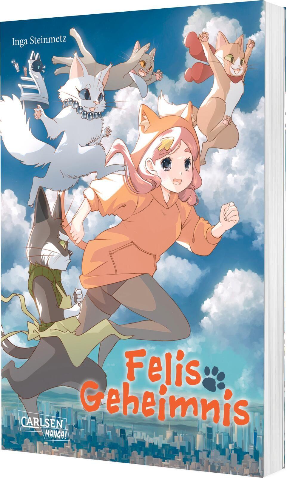 Vorderes Coverbild Felis Geheimnis