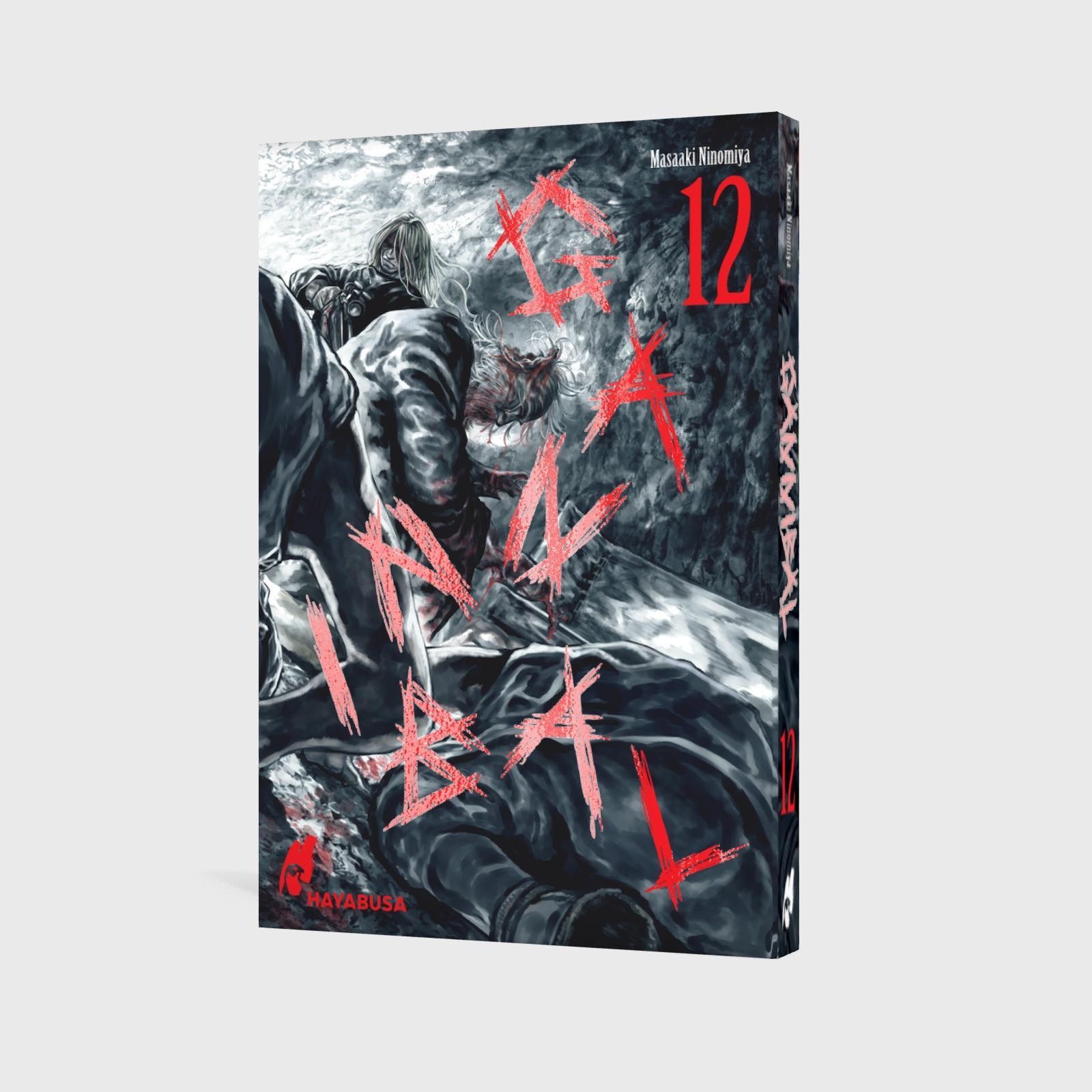 Beispielinhalt (Bild) Gannibal 12