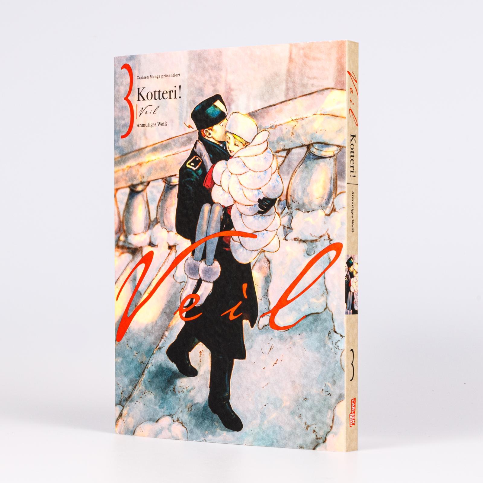 Beispielinhalt (Bild) VEIL 3