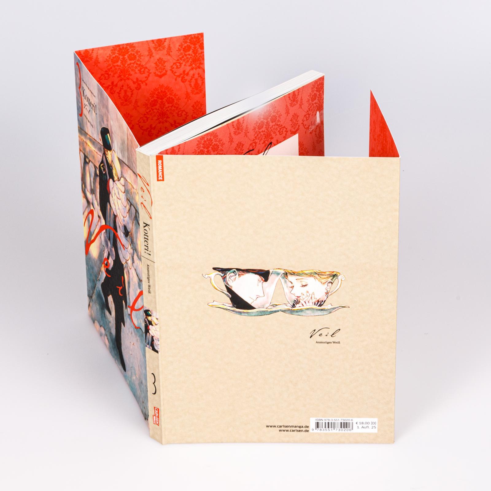 Beispielinhalt (Bild) VEIL 3