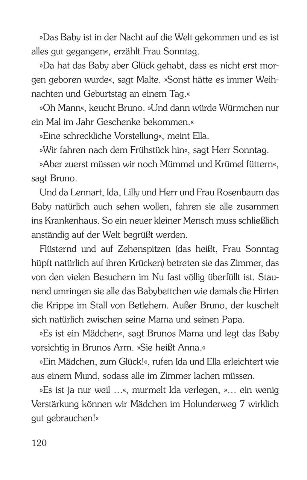 Beispielinhalt (Bild) Advent im Holunderweg - 24 neue Geschichten bis zum Weihnachtsfest