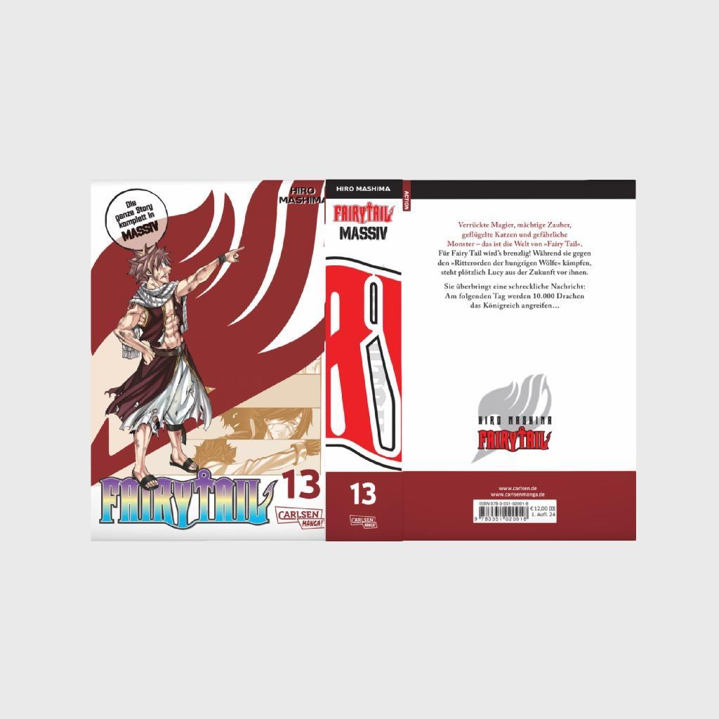 Beispielinhalt (Bild) Fairy Tail Massiv 13