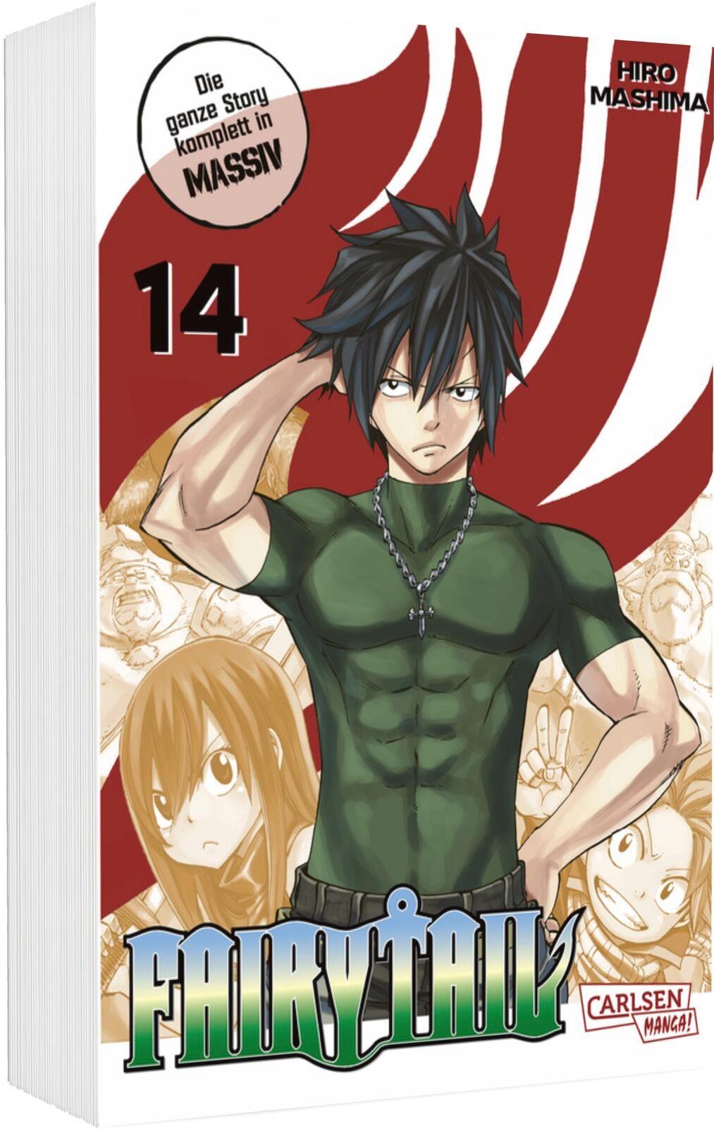 Vorderes Coverbild Fairy Tail Massiv 14