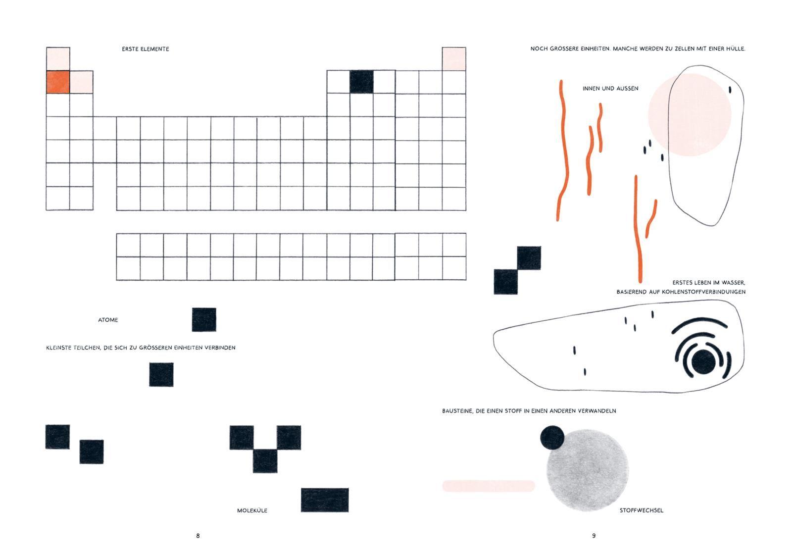 Beispielinhalt (Bild) Wald ohne Bäume