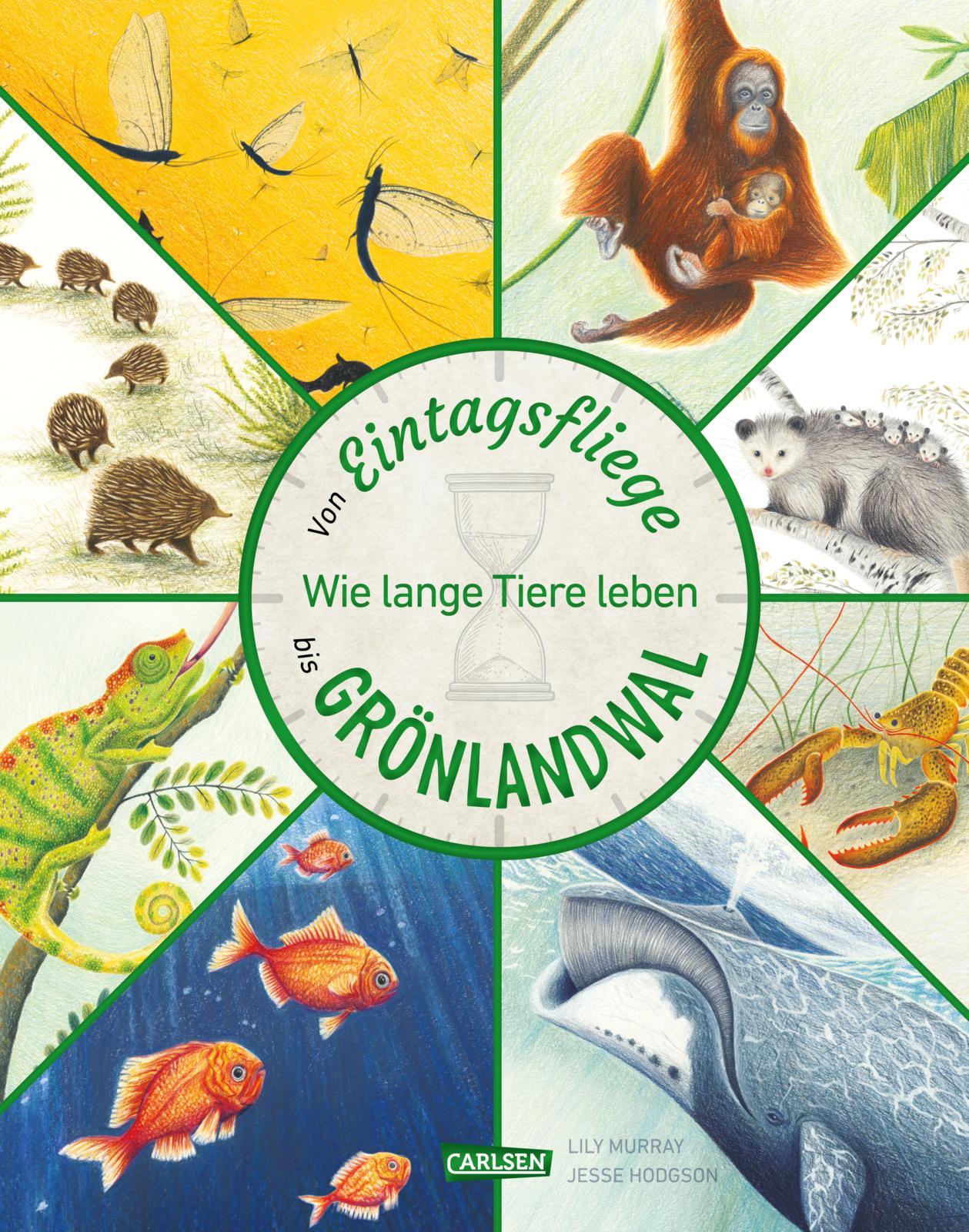 Vorderes Coverbild Von Eintagsfliege bis Grönlandwal