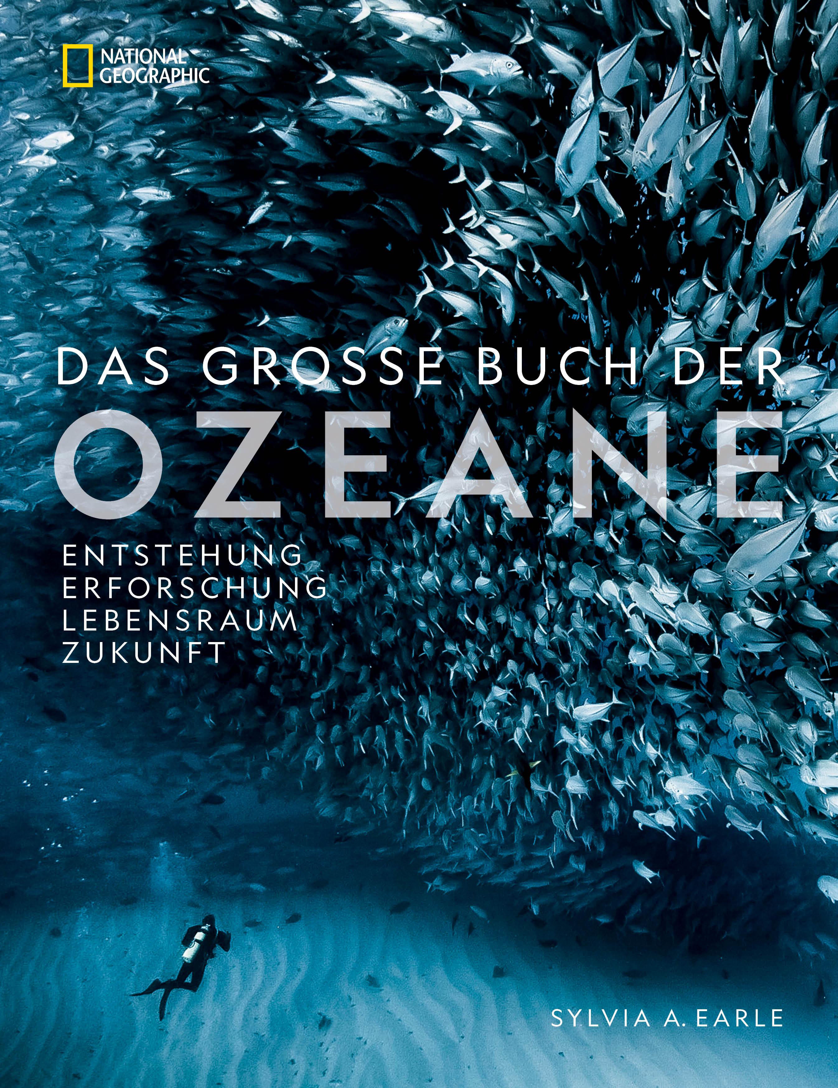 Vorderes Coverbild Das große Buch der OZEANE