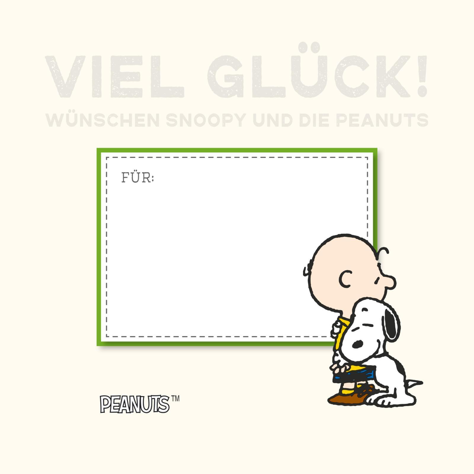Beispielinhalt (Bild) Peanuts Geschenkbuch: Viel Glück wünschen Snoopy und die Peanuts!