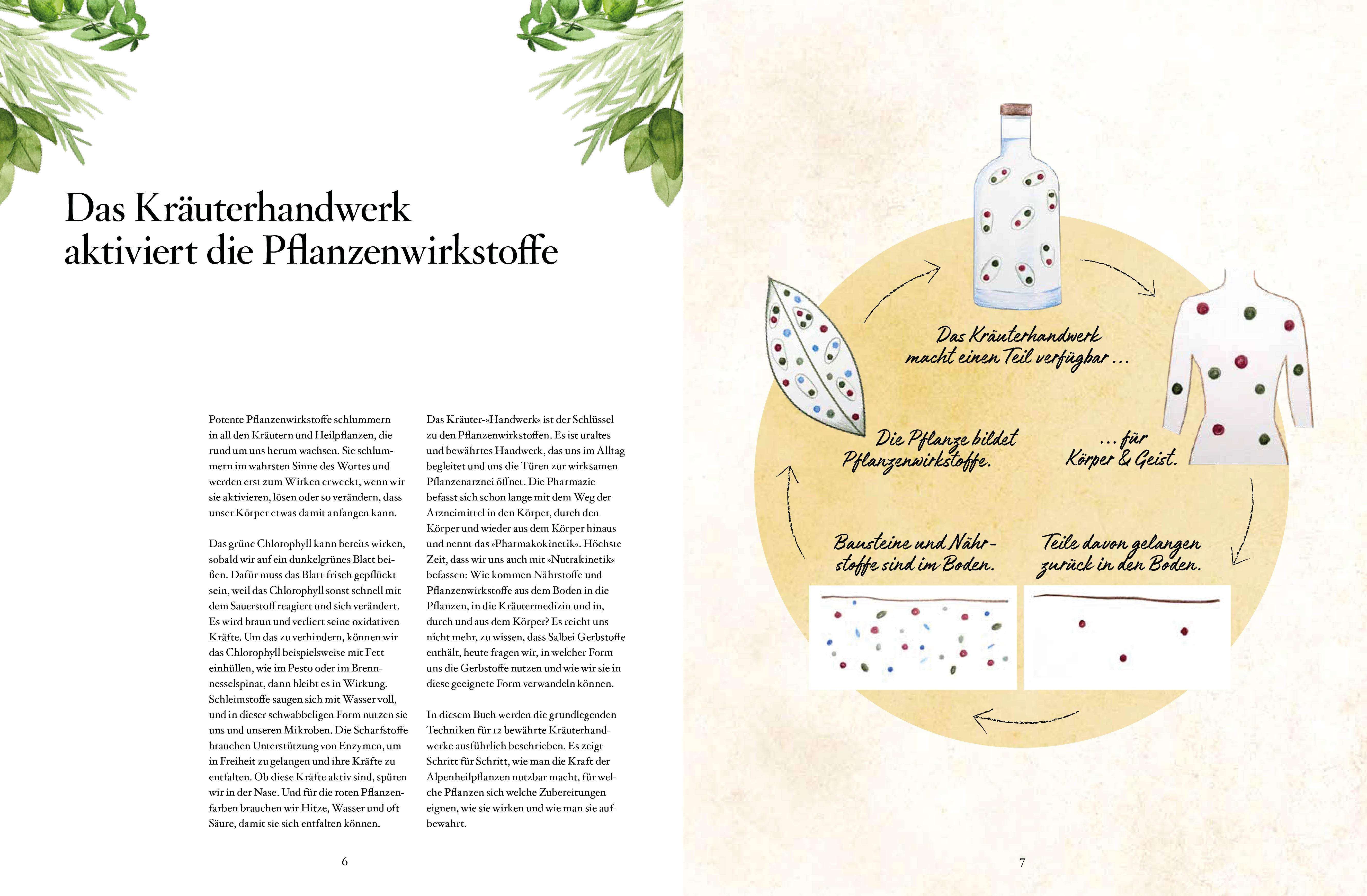 Beispielinhalt (Bild) Das Kräuterhandwerk