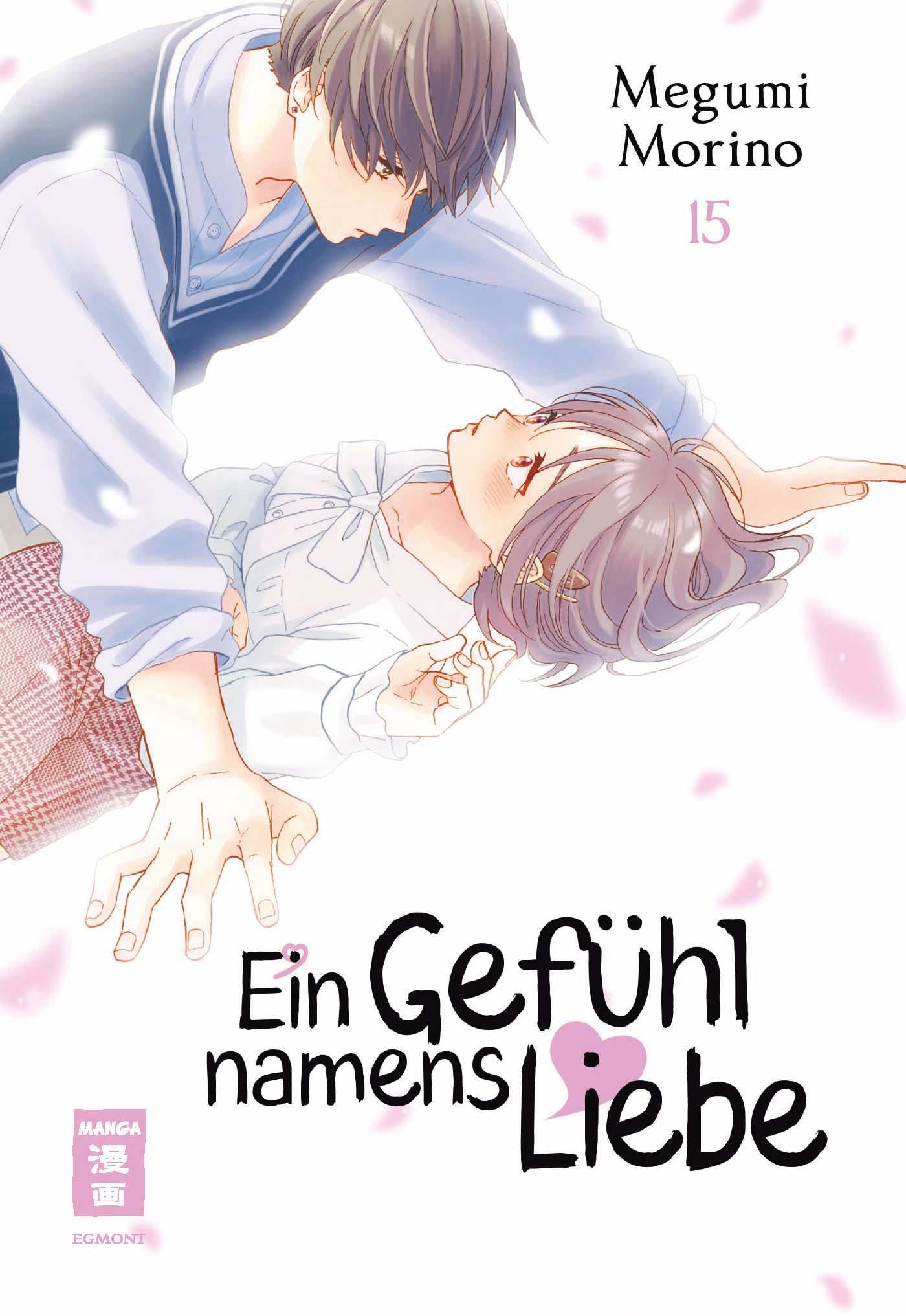 Vorderes Coverbild Ein Gefühl namens Liebe 15