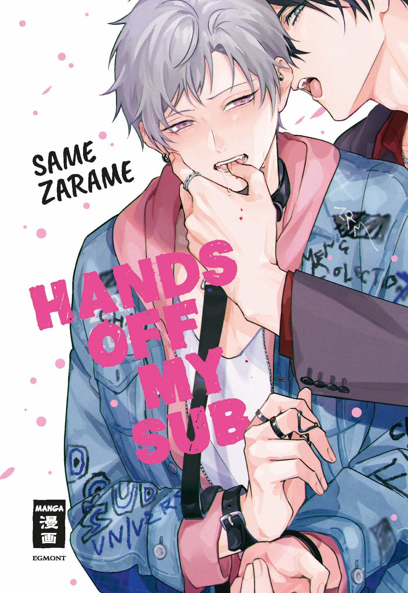 Vorderes Coverbild Hands off my Sub