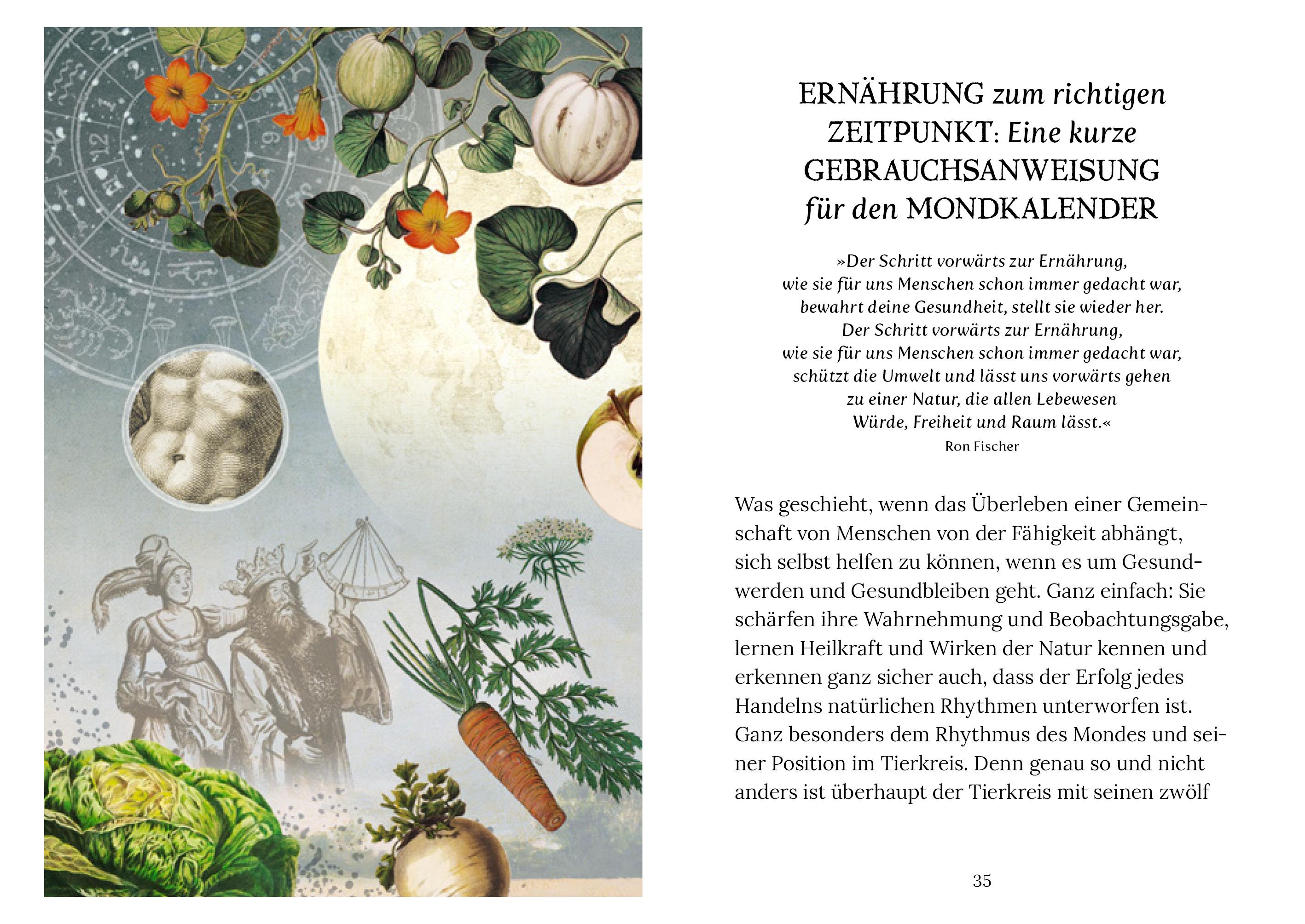 Beispielinhalt (Bild) Ernährung im Rhythmus des Mondes