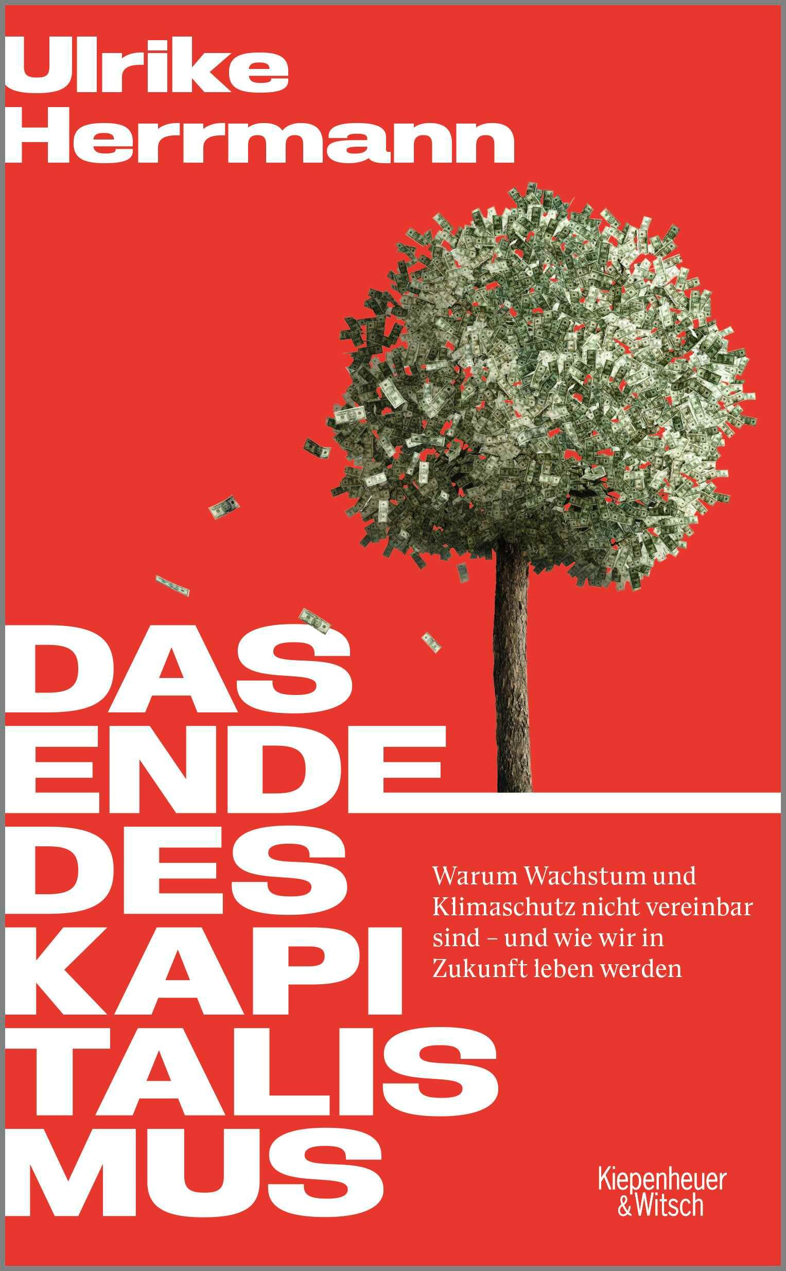 Vorderes Coverbild Das Ende des Kapitalismus