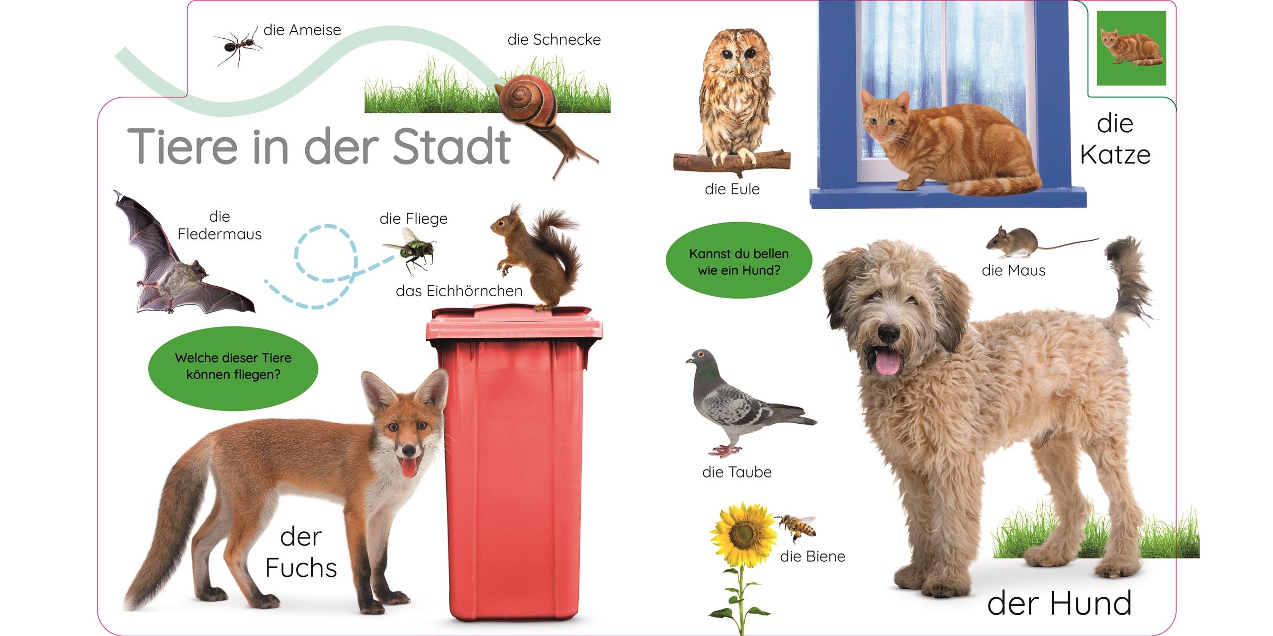 Beispielinhalt (Bild) Erstes Lernen. In der Stadt