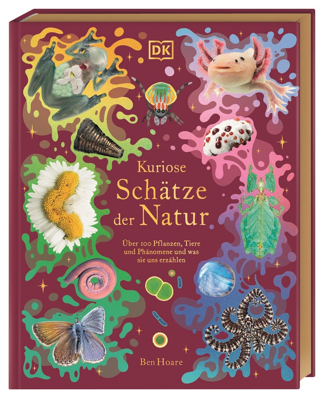 Vorderes Coverbild Kuriose Schätze der Natur