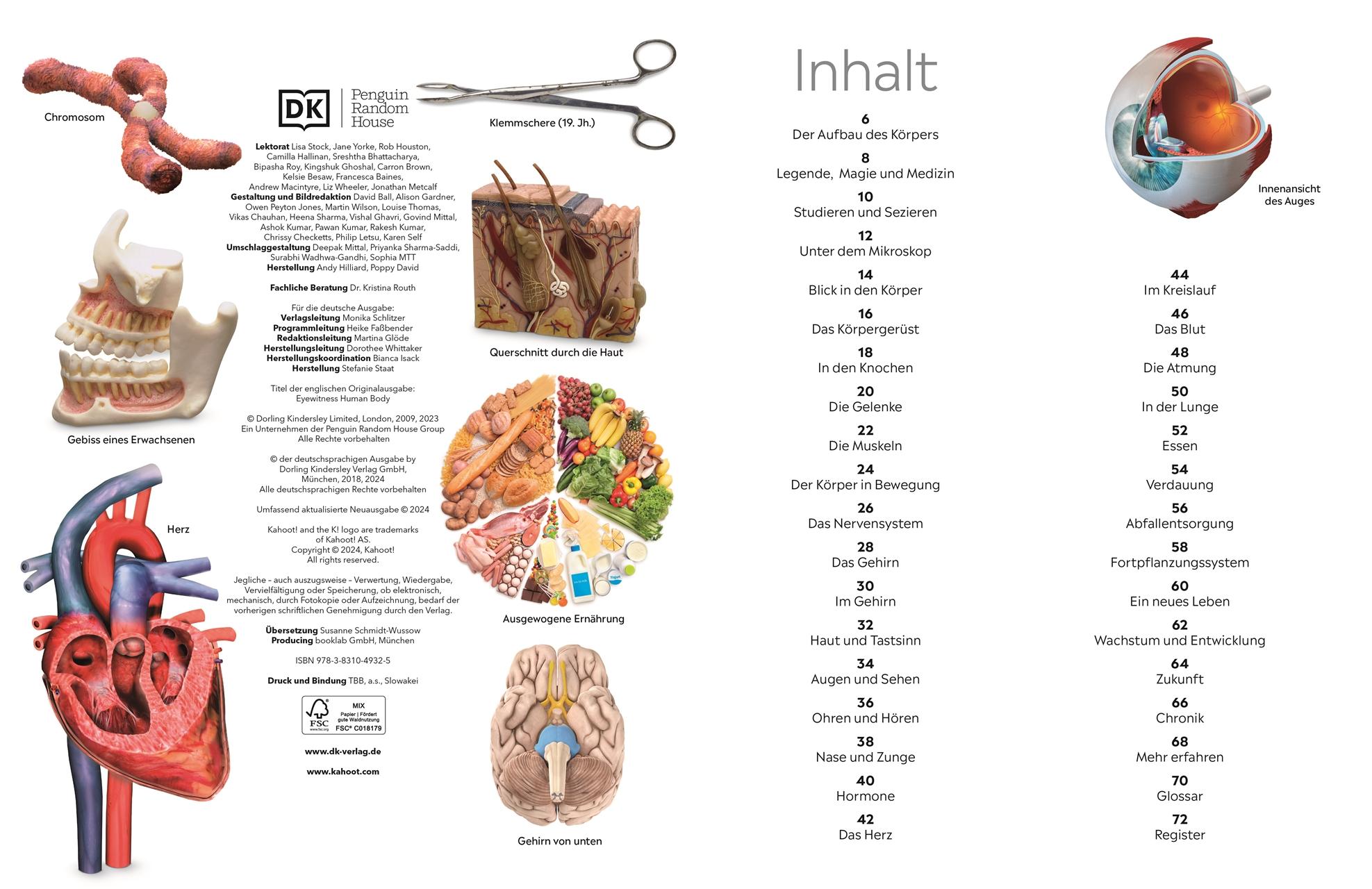 Beispielinhalt (Bild) memo Wissen. Körper