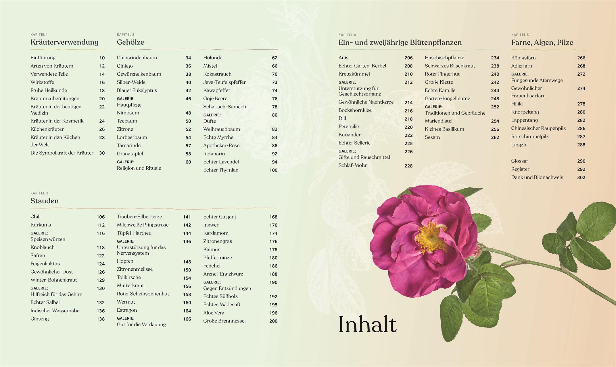 Beispielinhalt (Bild) Heilpflanzen