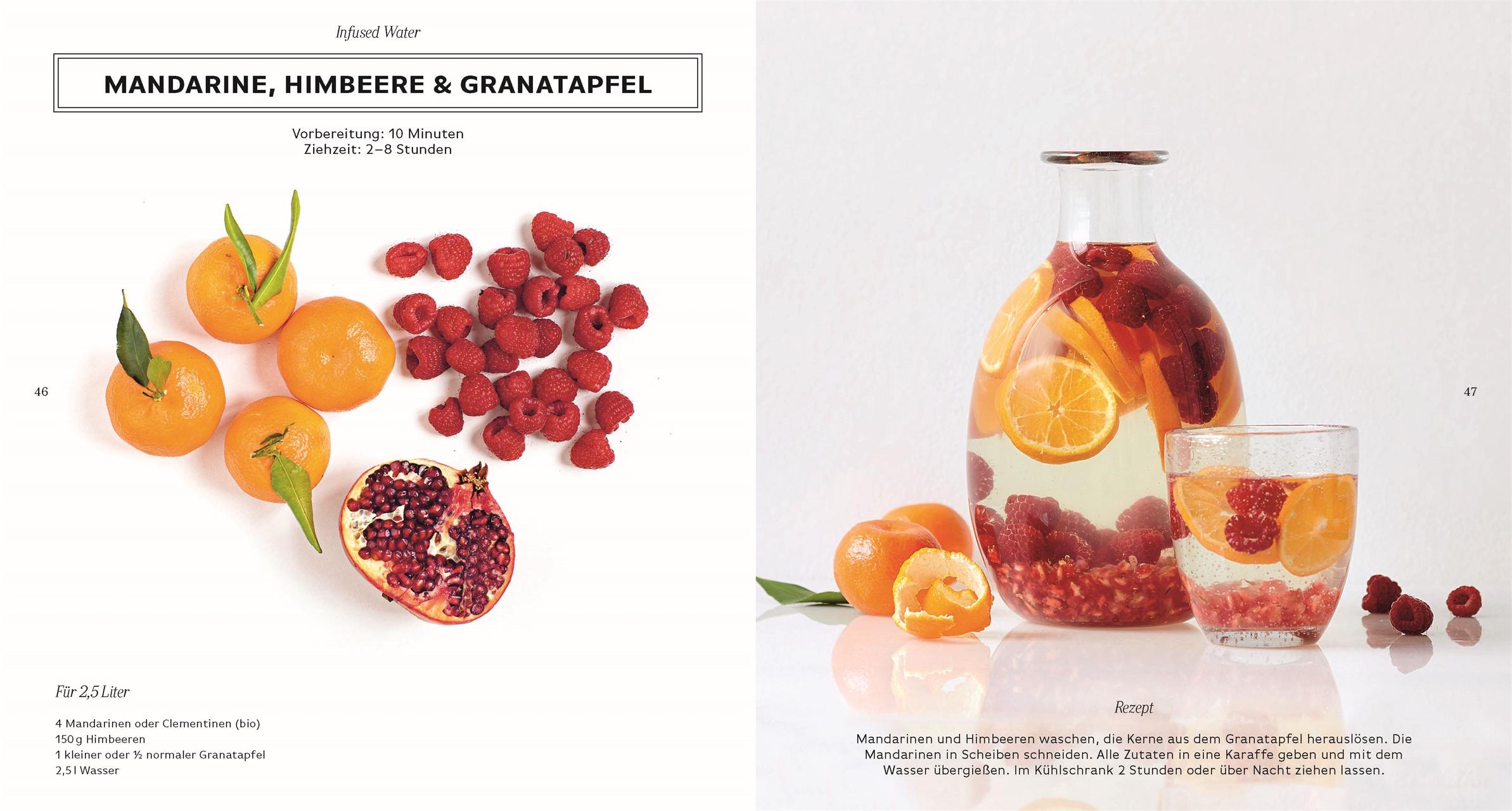 Beispielinhalt (Bild) Infused Water, Eistee & Co.