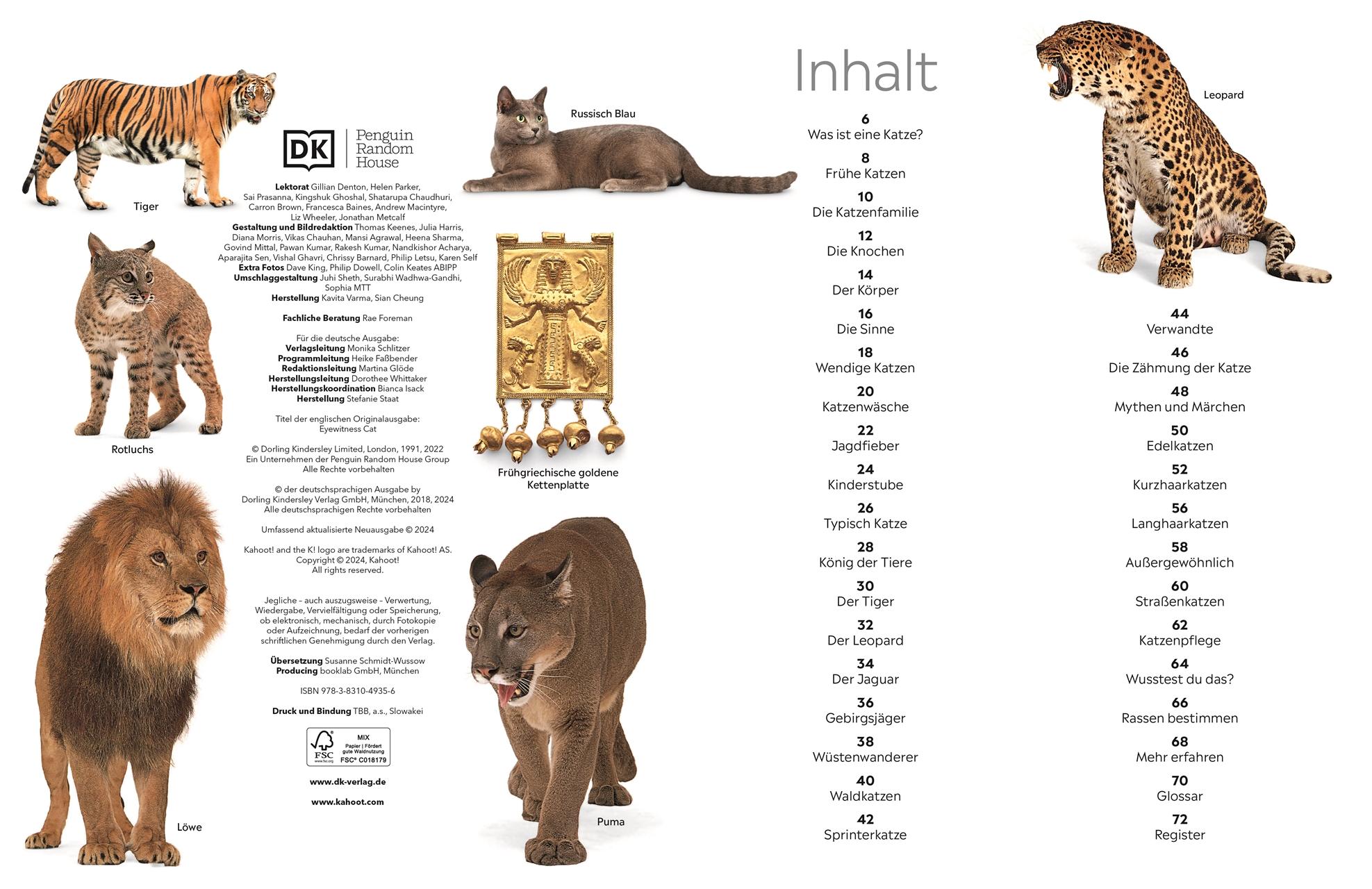 Beispielinhalt (Bild) memo Wissen. Katzen