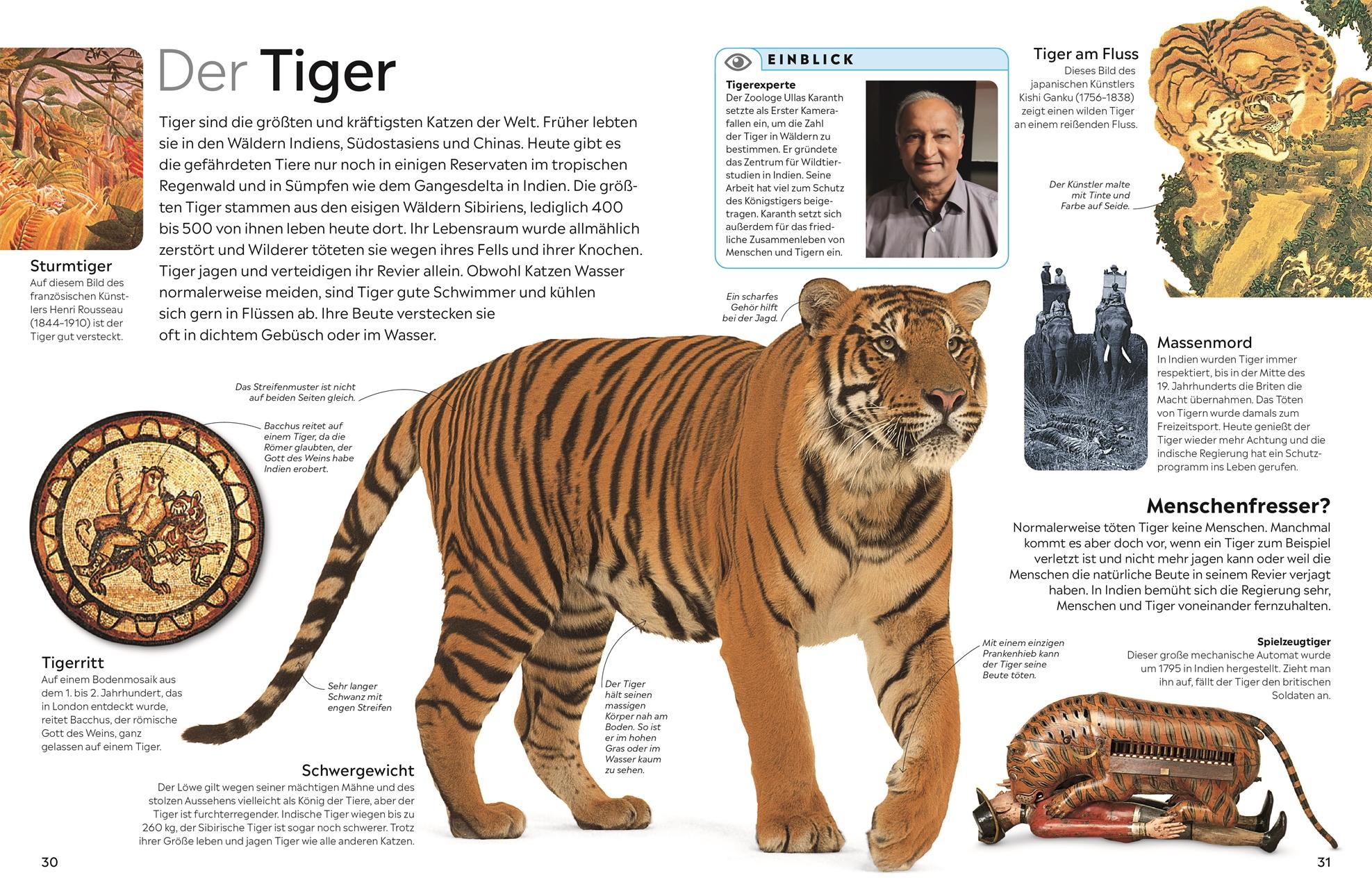 Beispielinhalt (Bild) memo Wissen. Katzen