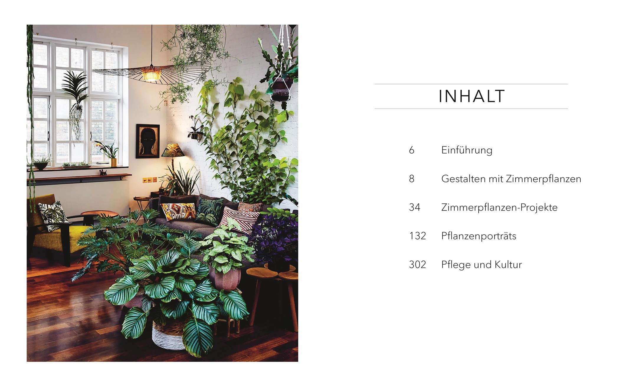 Beispielinhalt (Bild) Das große Buch der Zimmerpflanzen